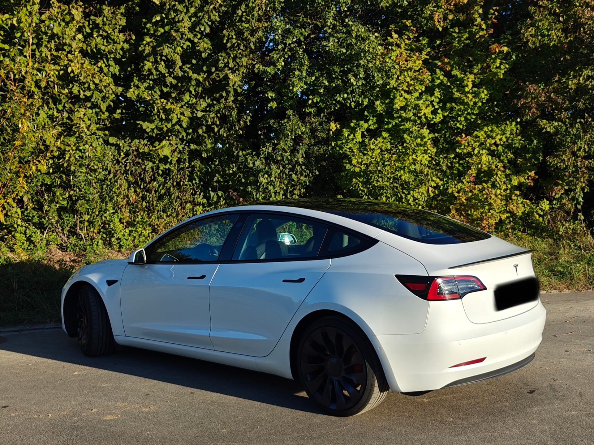 TESLA Model 3 Performance Dual Motor AWD-image-0