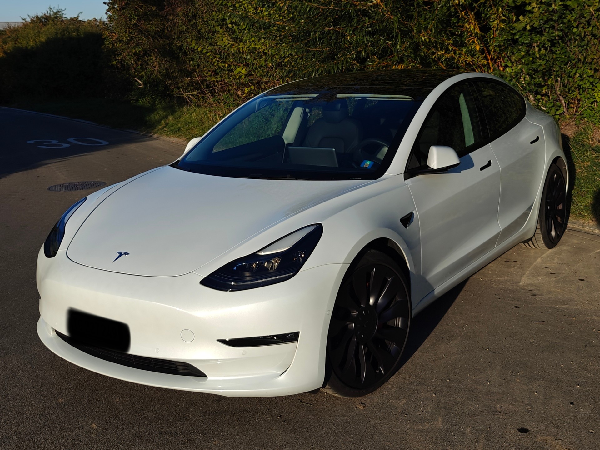 TESLA Model 3 Performance Dual Motor AWD-image-3