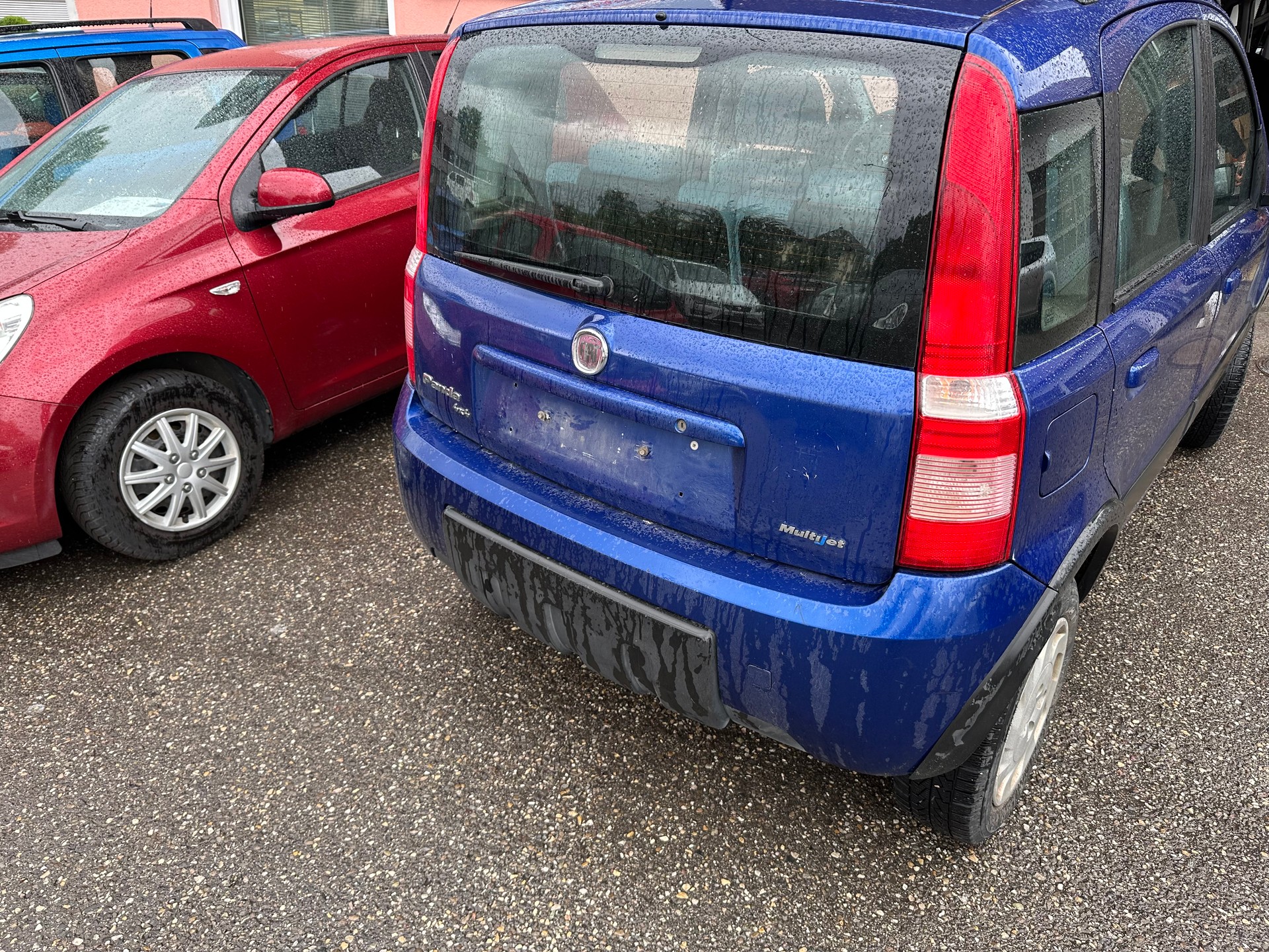 FIAT Panda 1.3 16V JTD 4x4 (Trekking)-image-5