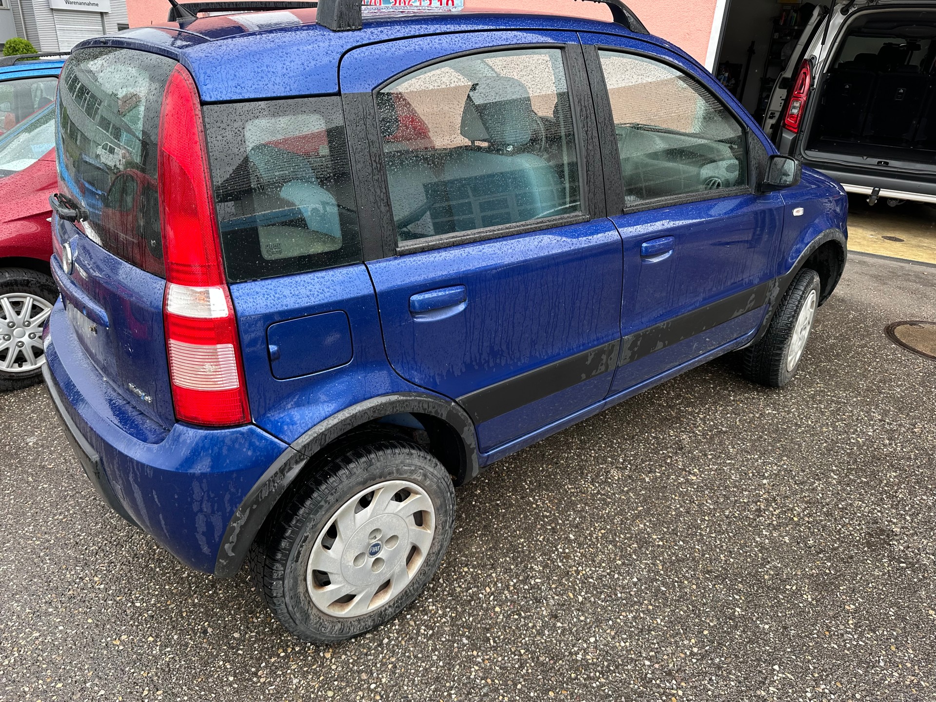 FIAT Panda 1.3 16V JTD 4x4 (Trekking)-image-2