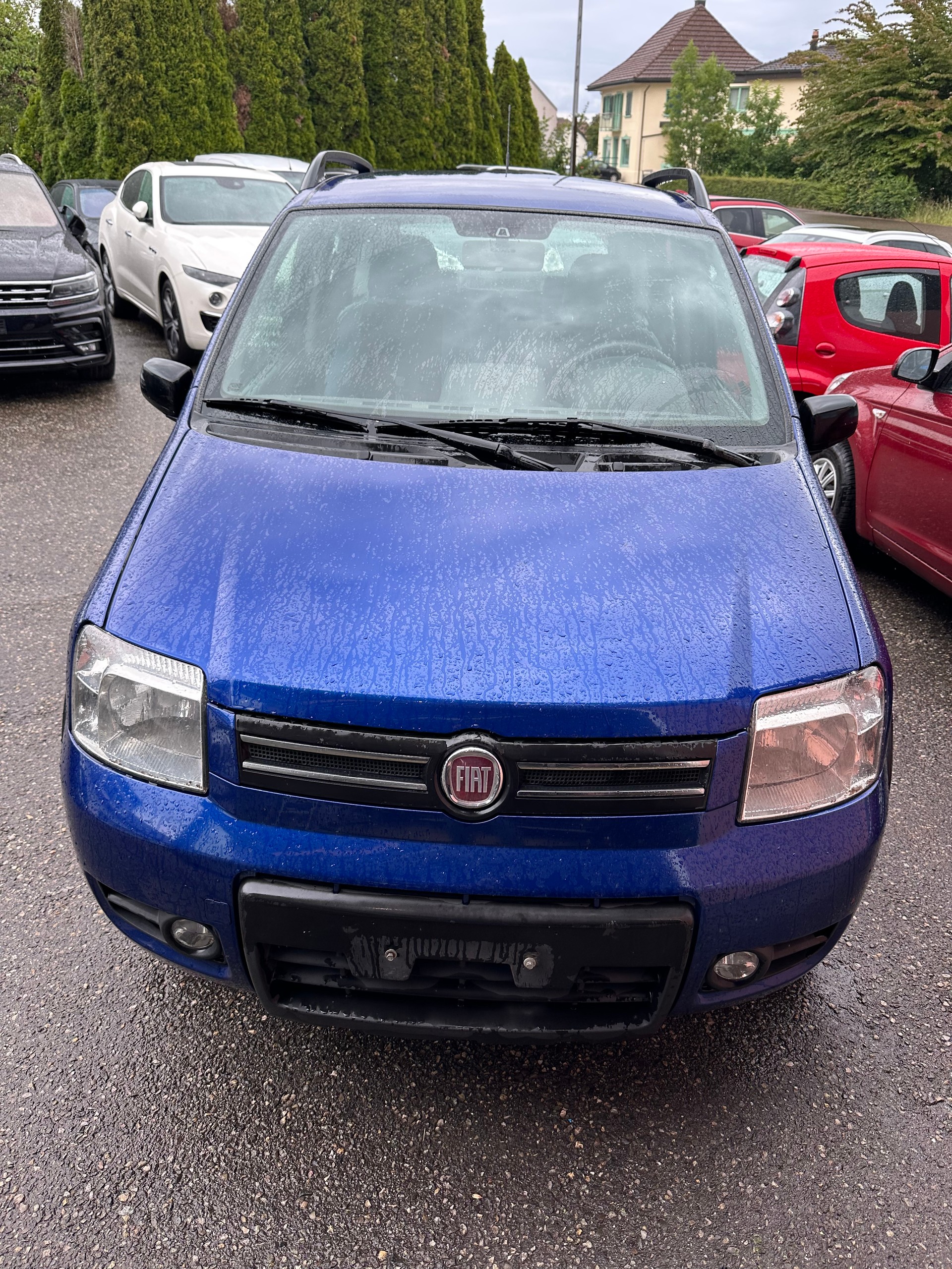 FIAT Panda 1.3 16V JTD 4x4 (Trekking)