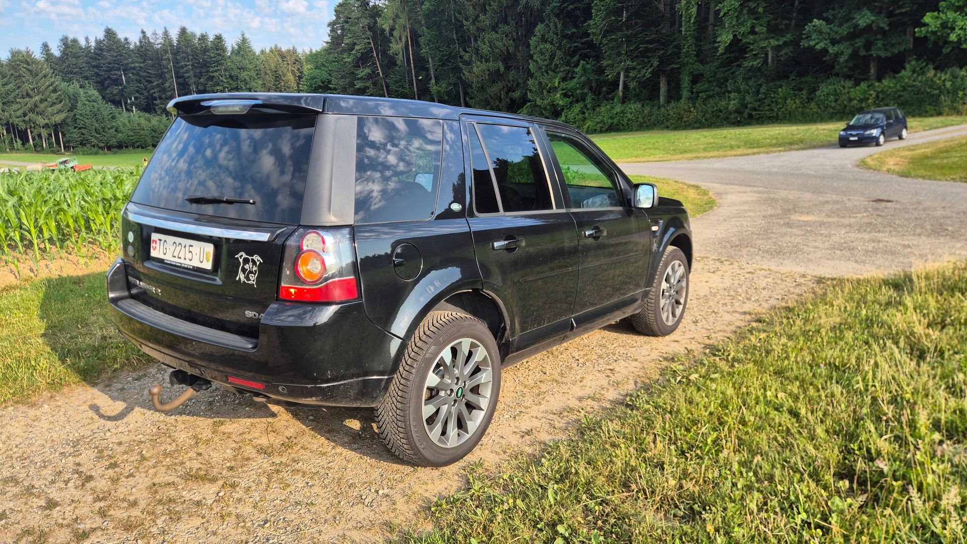 LAND ROVER Freelander 2.2 SD4 Dynamic Automatic-image-2
