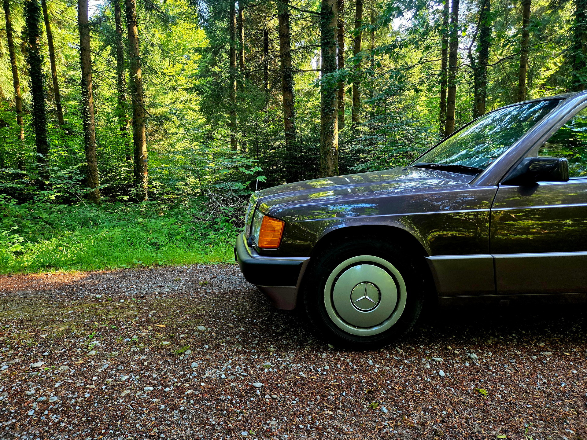 MERCEDES-BENZ 190 E 2.6-image-10
