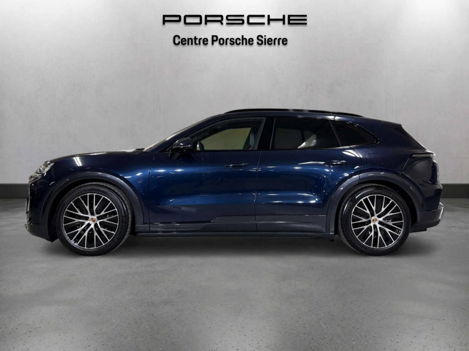 PORSCHE Cayenne Electric-image-1