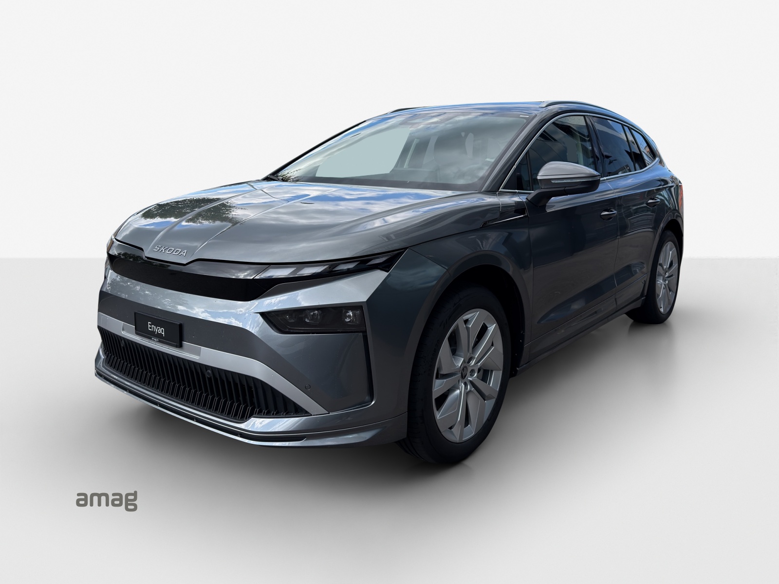 SKODA Enyaq 85x Dynamic 4x4-image-0