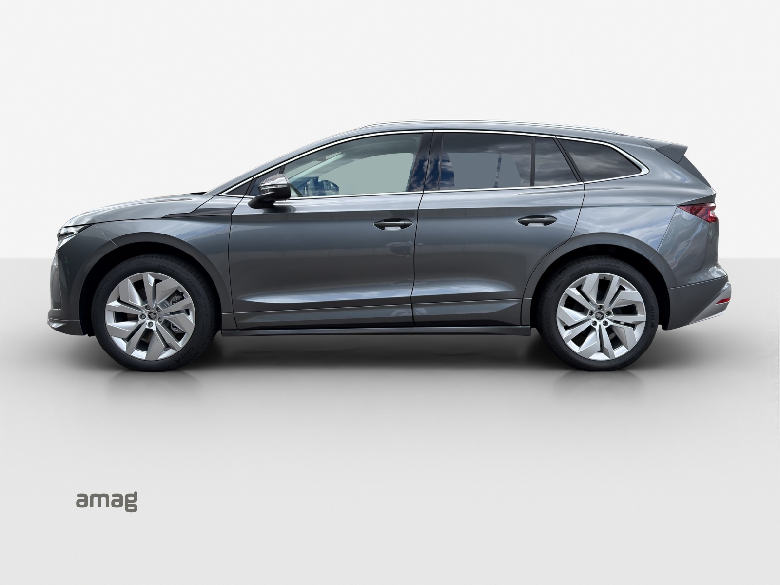 SKODA Enyaq 85x Dynamic 4x4-image-1