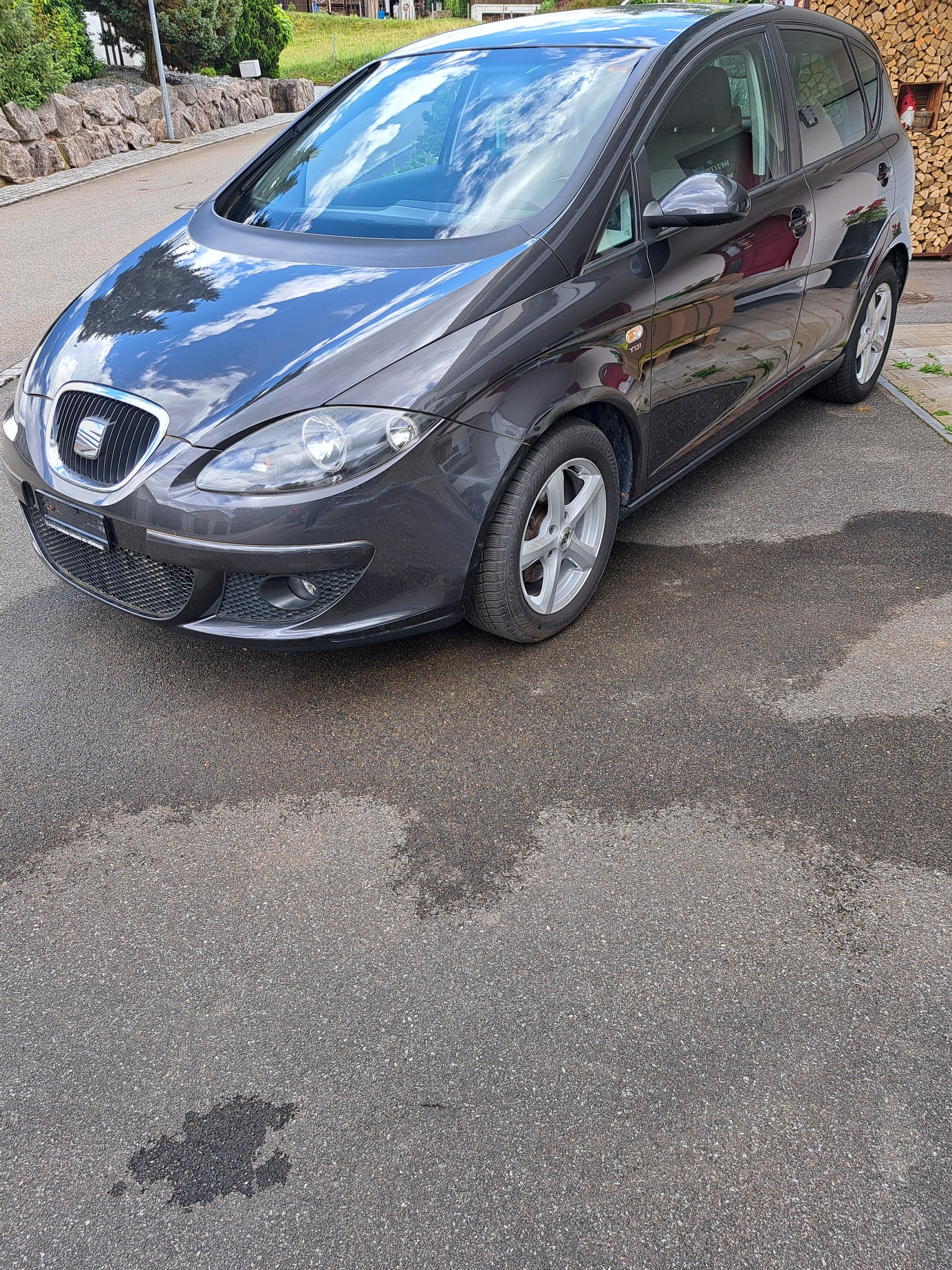 SEAT ALTEA-image-1