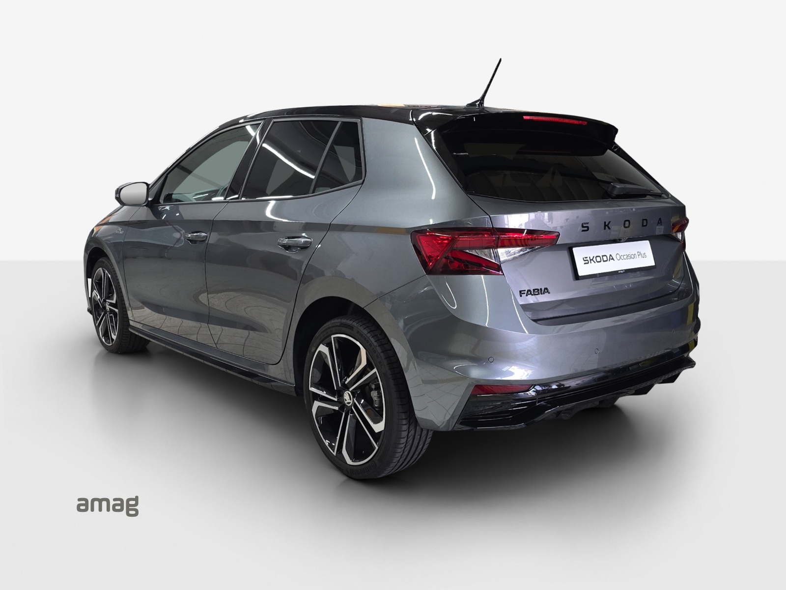SKODA Fabia 1.5 TSI Monte Carlo DSG-showroom-element-2