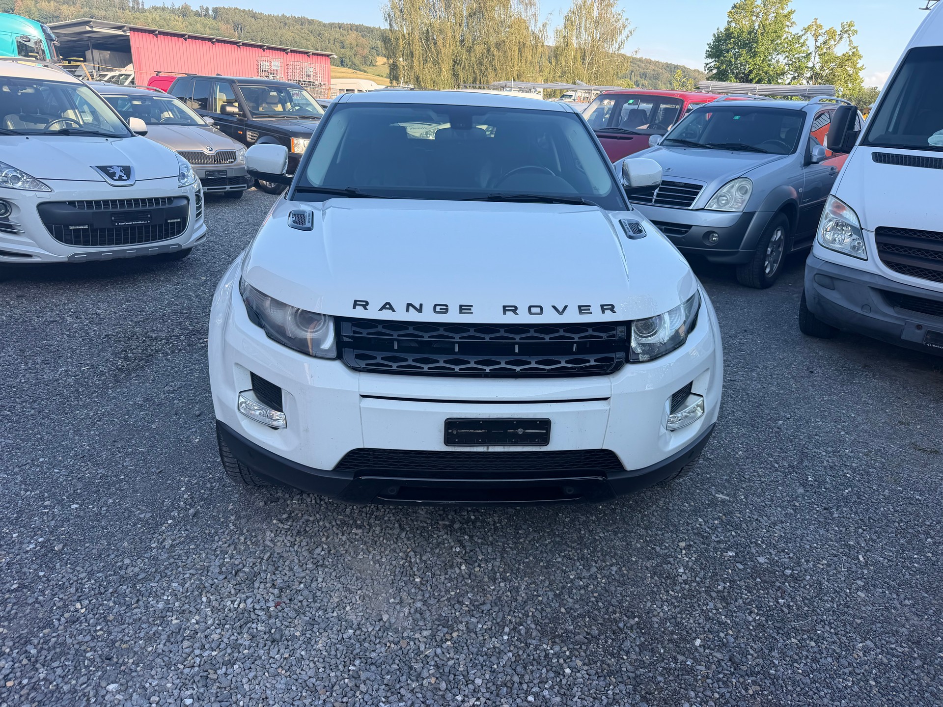 LAND ROVER Range Rover Evoque 2.2 TD4 Pure AT6-image-4