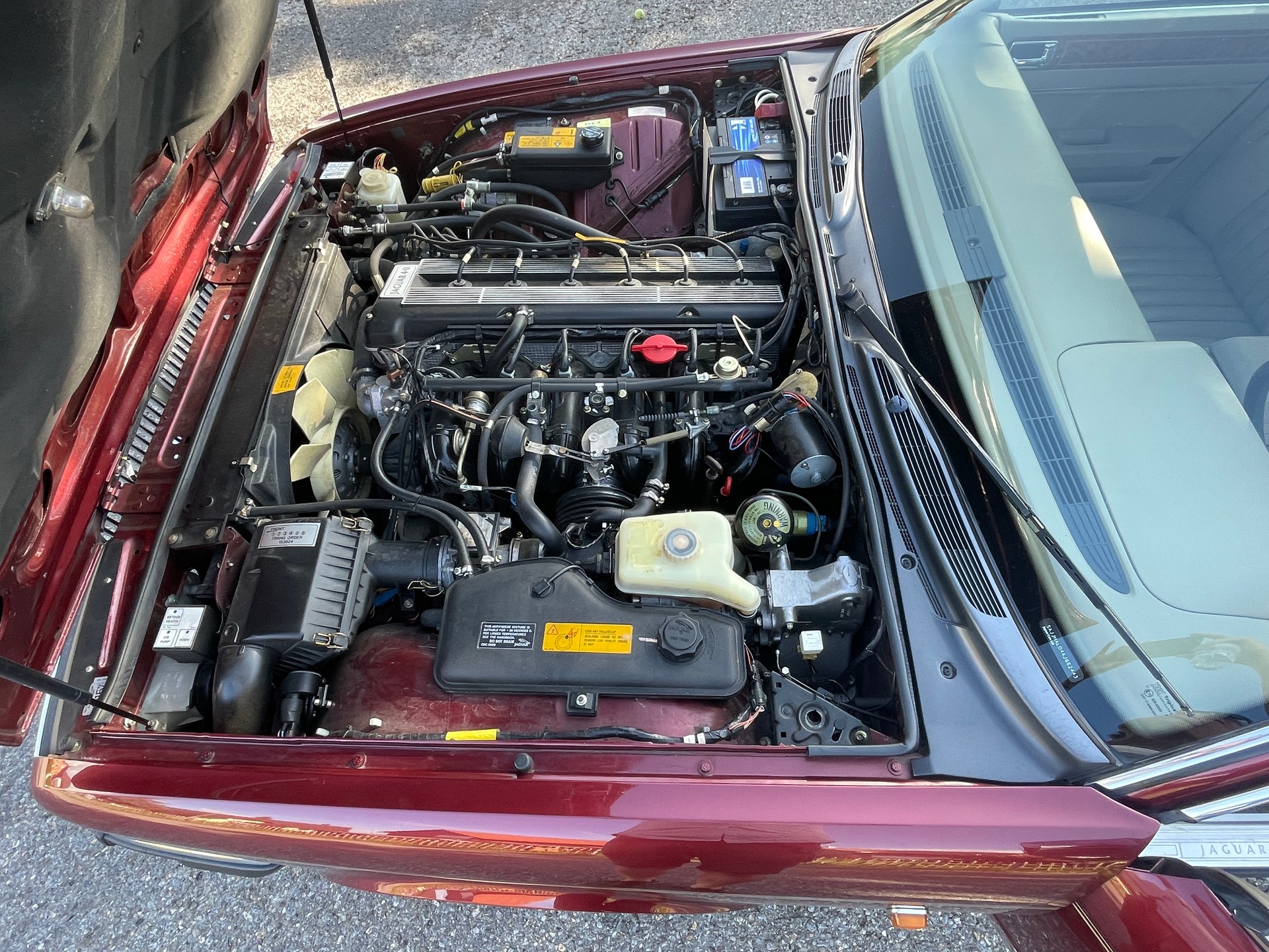 JAGUAR XJ6 4.0 Sovereign-image-13