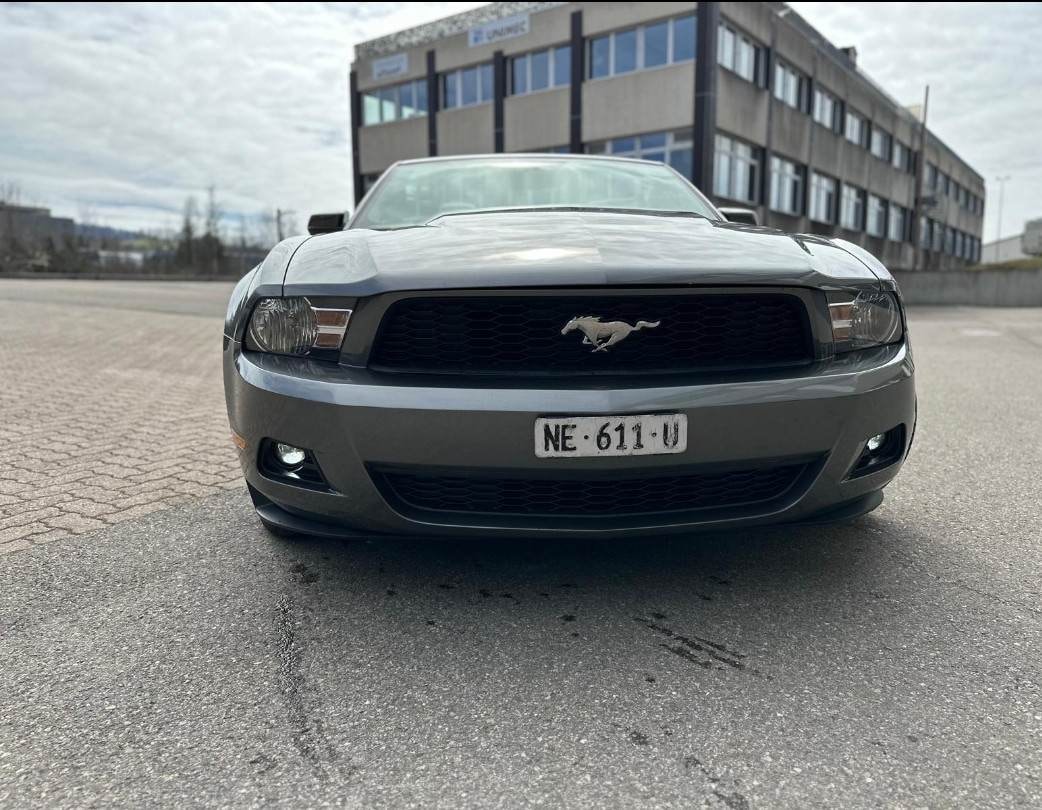 FORD MUSTANG-image-1