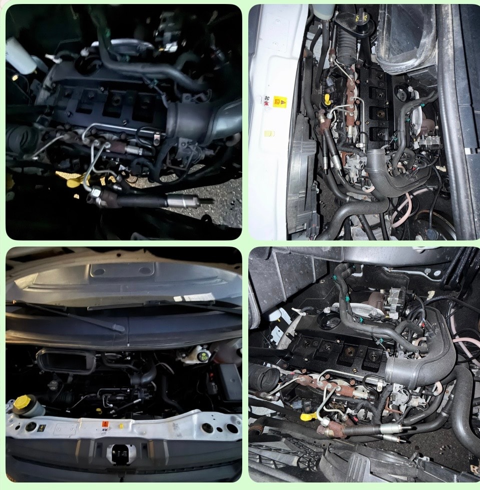 FORD Transit 2.2 TDCi 350 Pferdetransport-image-11