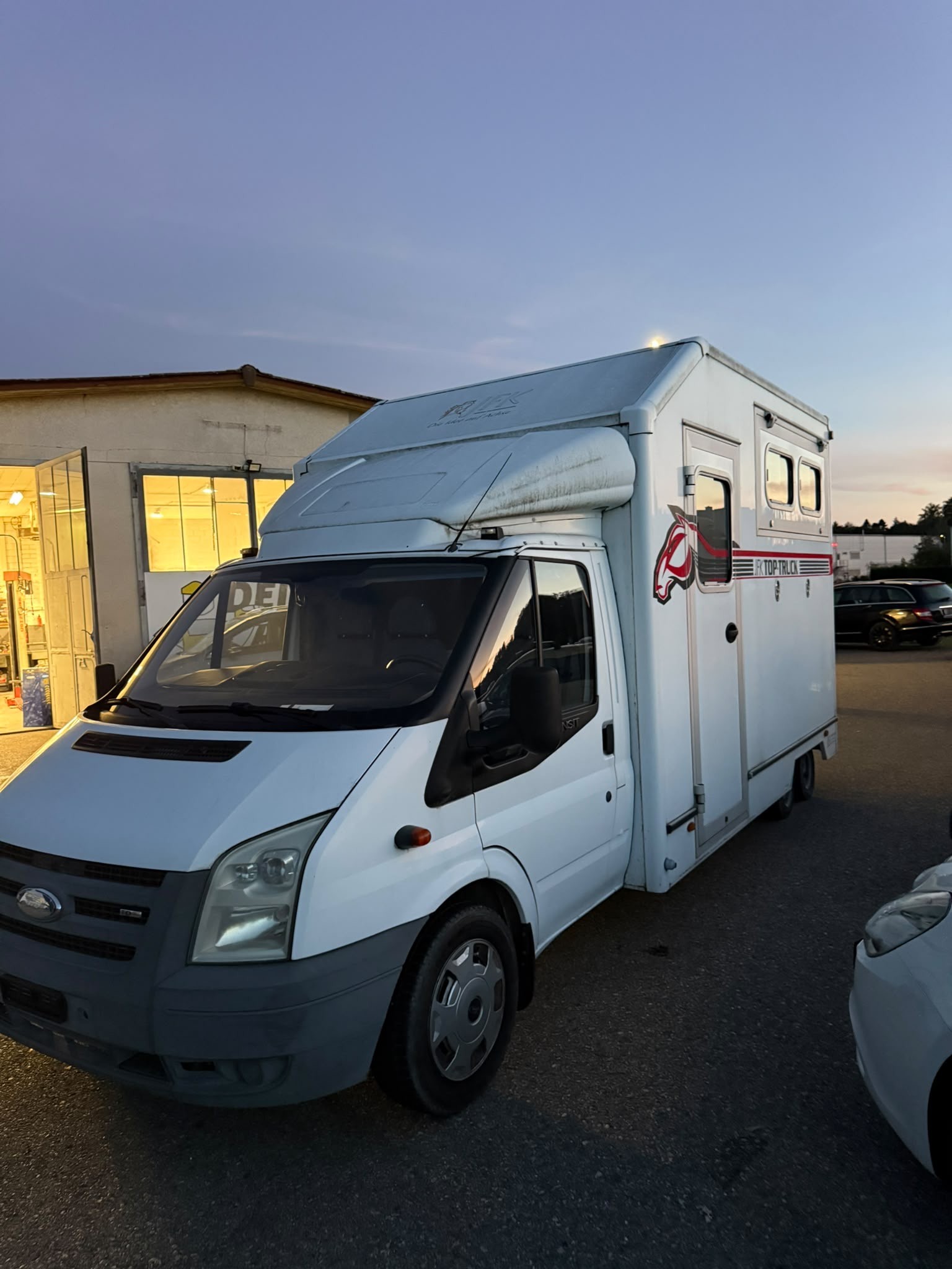 FORD Transit 2.2 TDCi 350 Pferdetransport-image-1