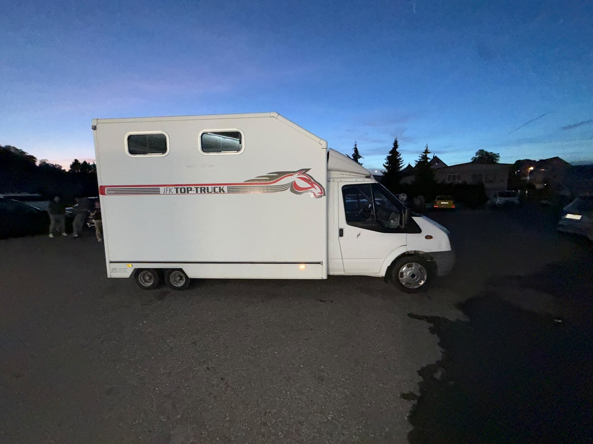 FORD Transit 2.2 TDCi 350 Pferdetransport-image-3