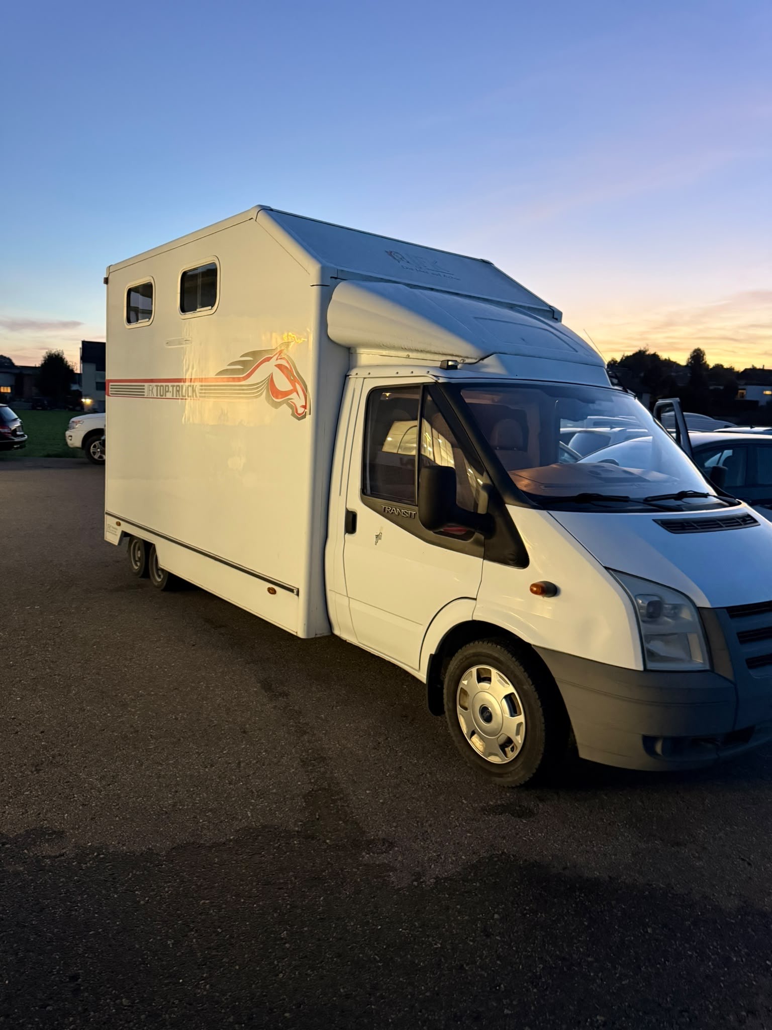 FORD Transit 2.2 TDCi 350 Pferdetransport-image-6