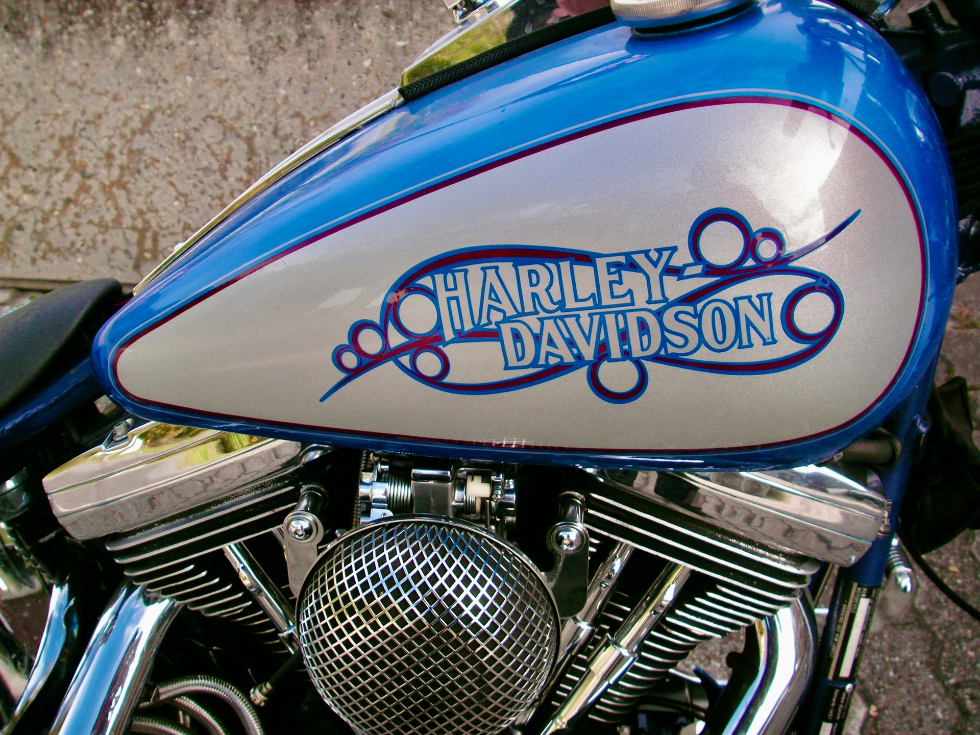 HARLEY-DAVIDSON FXST Softail 5-speed-image-5