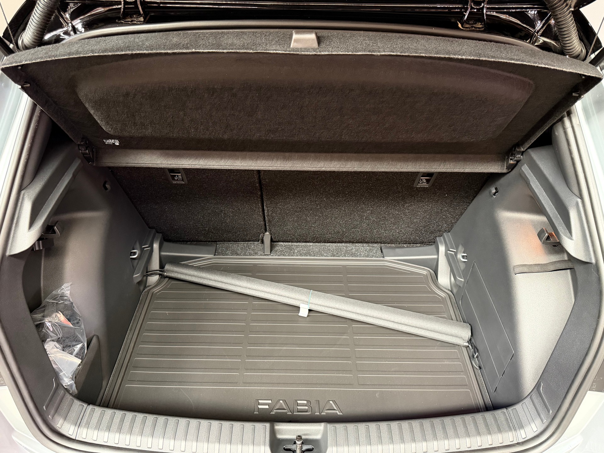 SKODA Fabia 1.0 TSI Monte Carlo DSG-image-11