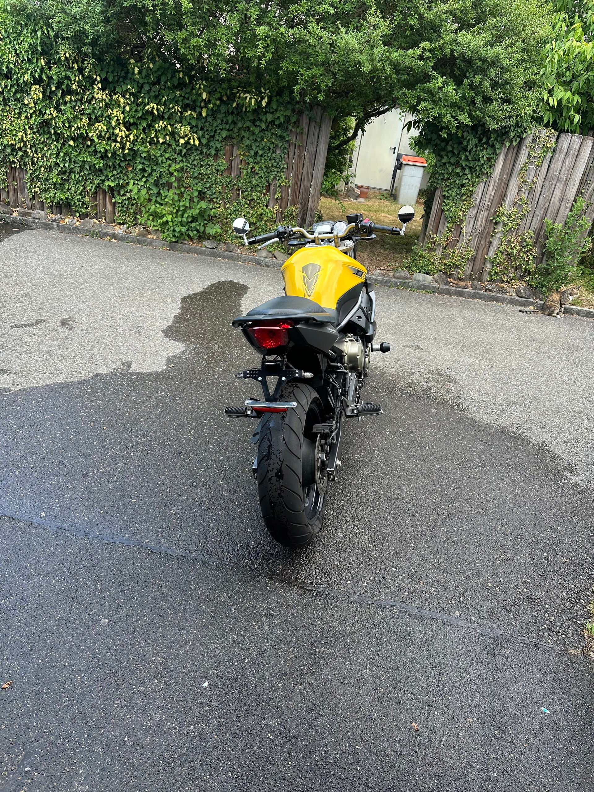 YAMAHA XJ 6 N ABS-image-6