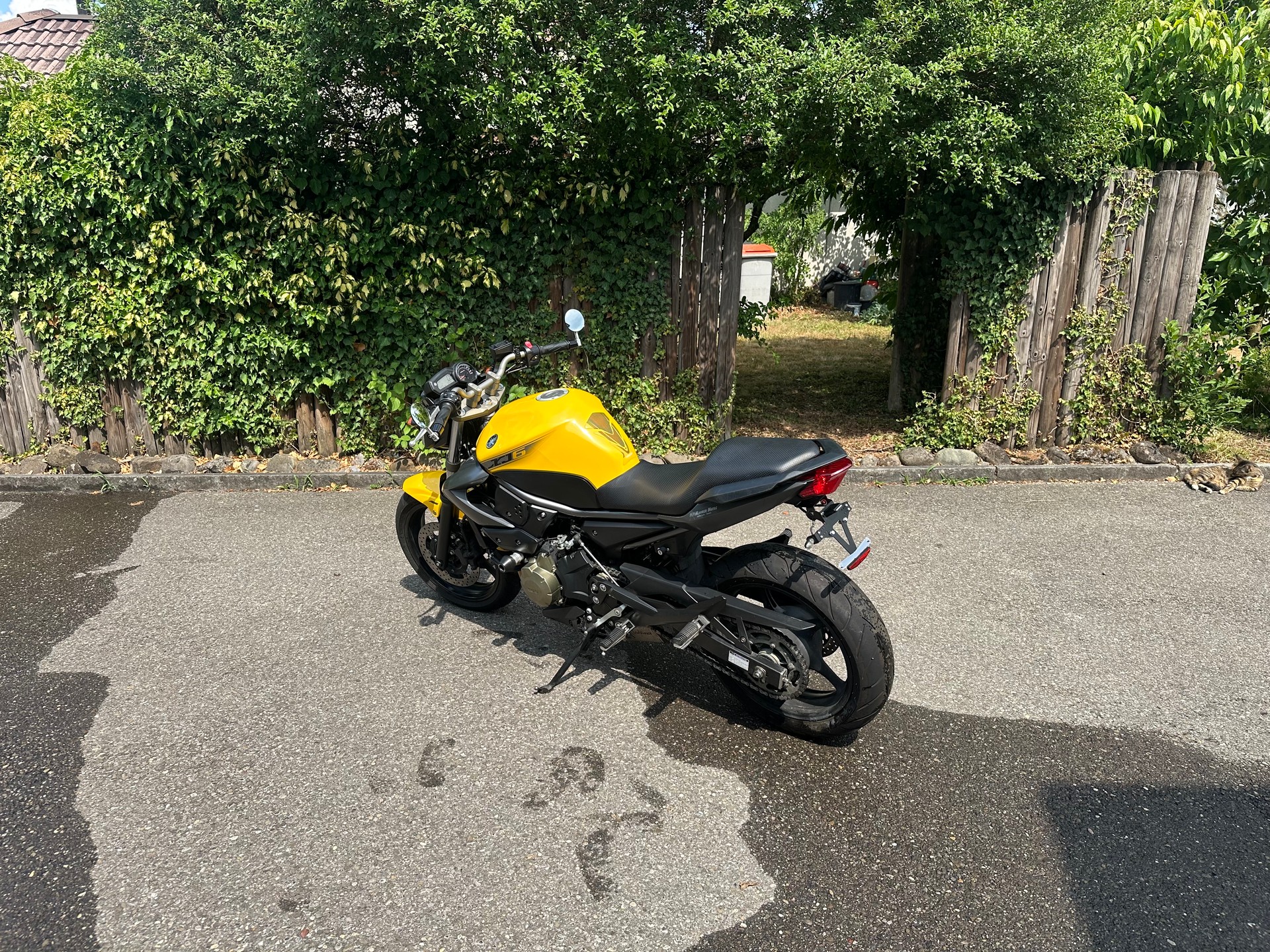 YAMAHA XJ 6 N ABS-image-9