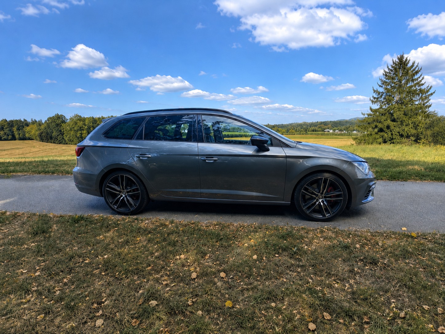 SEAT 2.0 TSI 300 Cupra 4Drive DSG-image-4