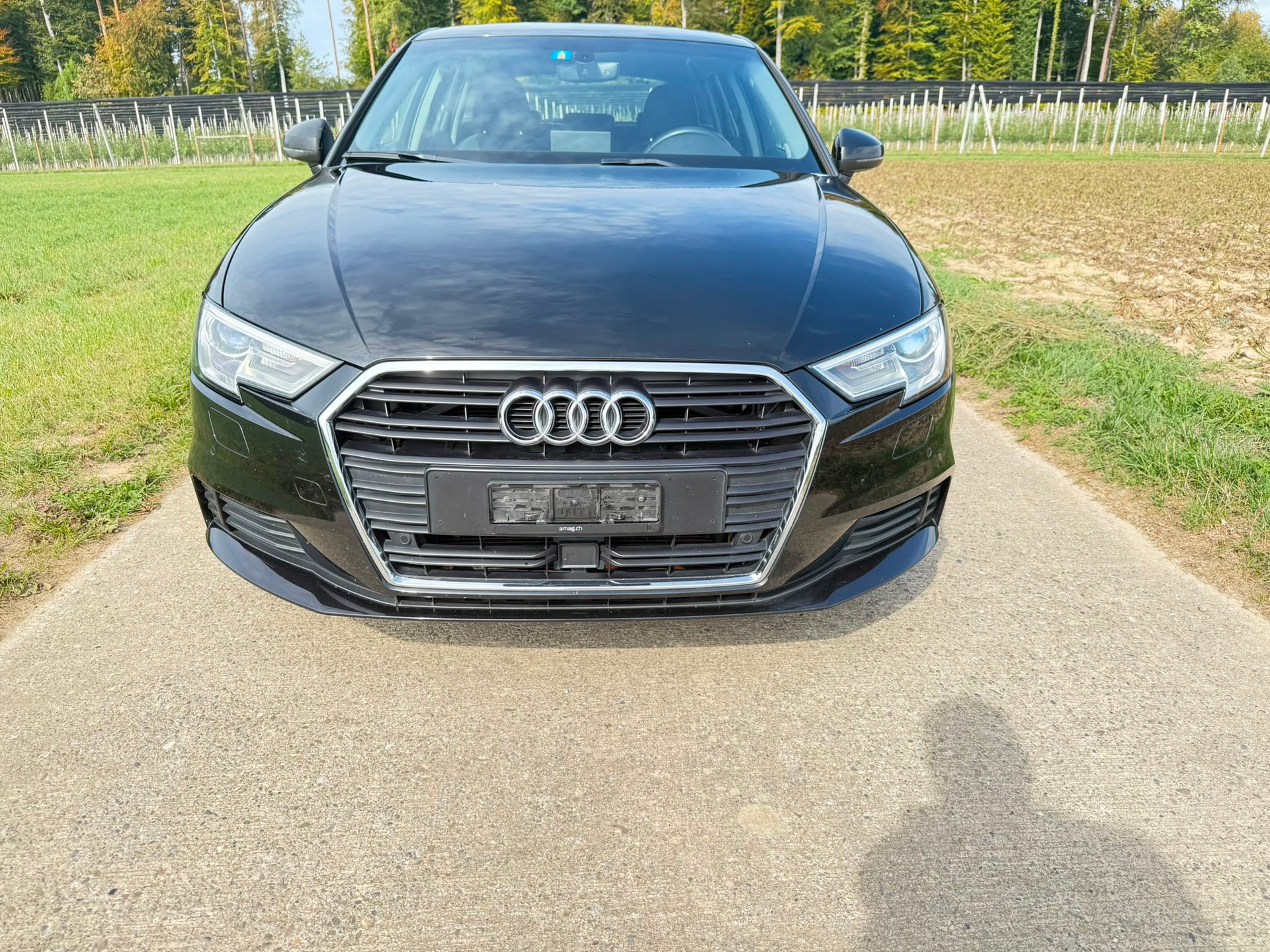 AUDI A3 2.0 TDI-image-6