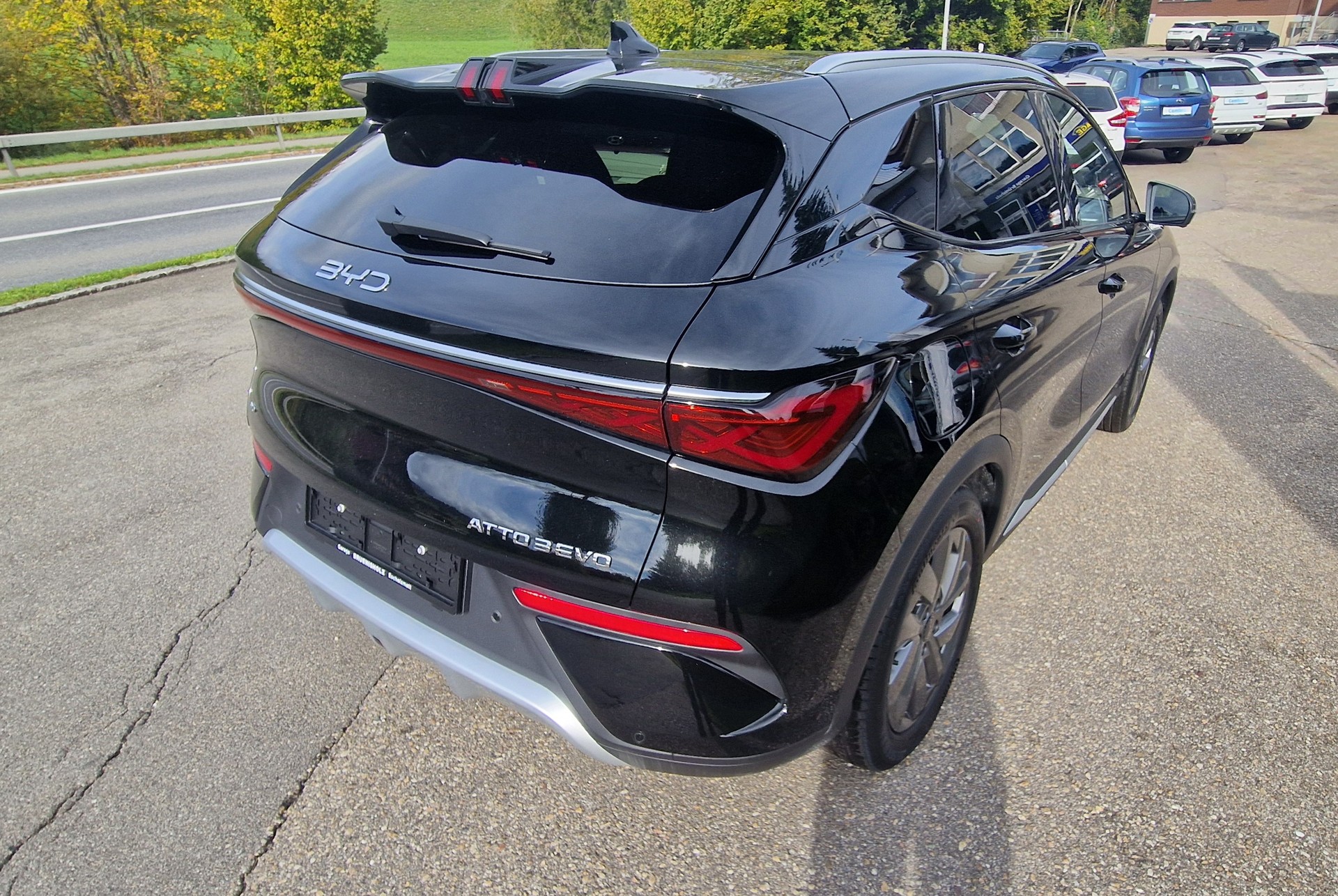 BYD EVO 74.8 kWh Excellence AWD-image-5