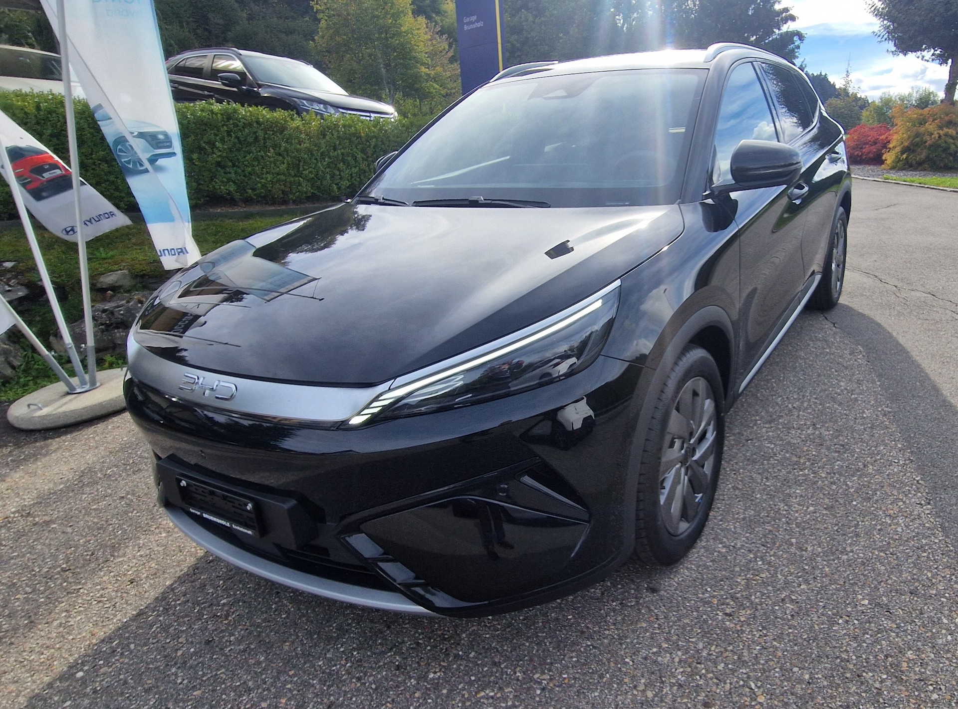 BYD EVO 74.8 kWh Excellence AWD-image-2