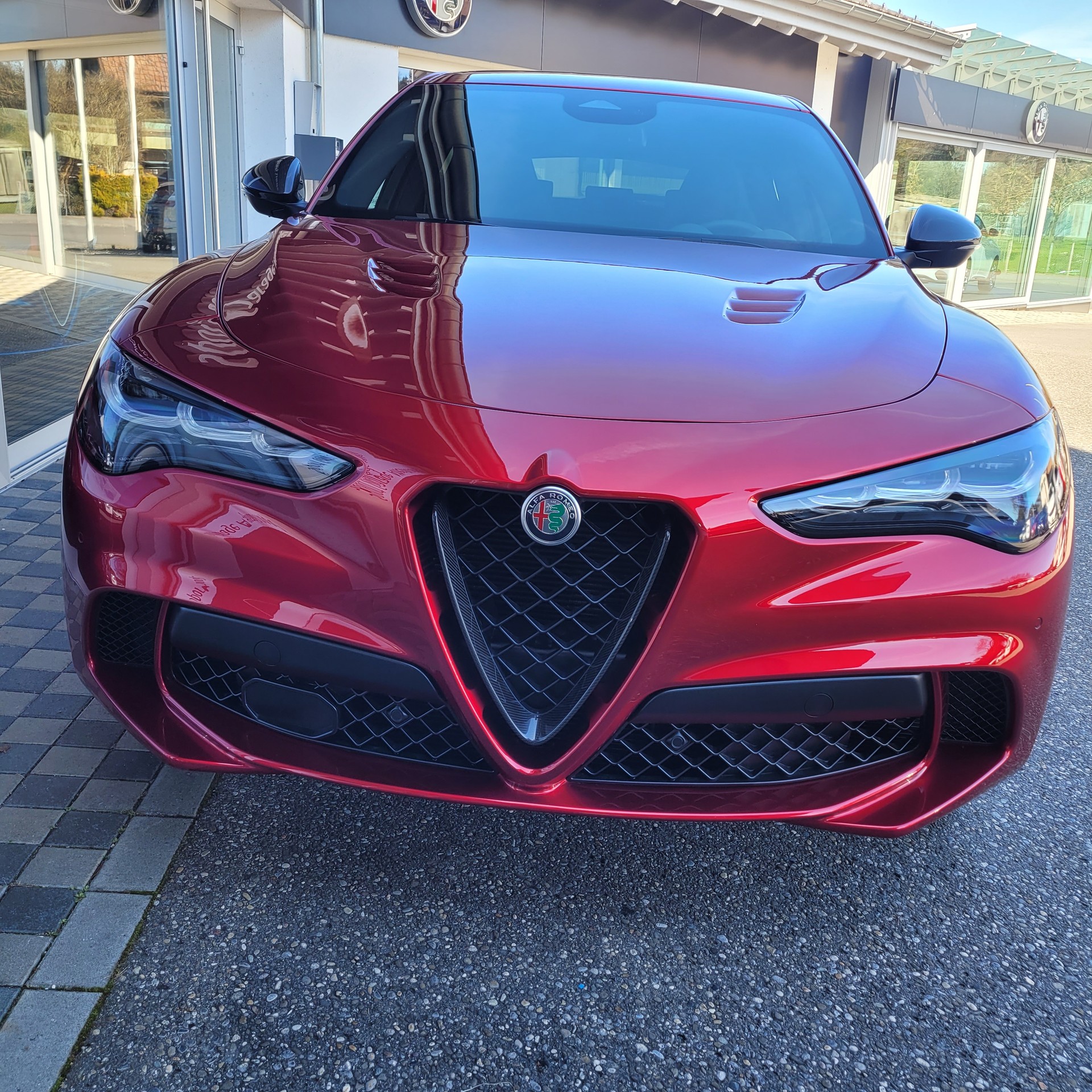 ALFA ROMEO Stelvio 2.9 V6 Quadrifoglio Collezione Nr. 2 Q4-image-5