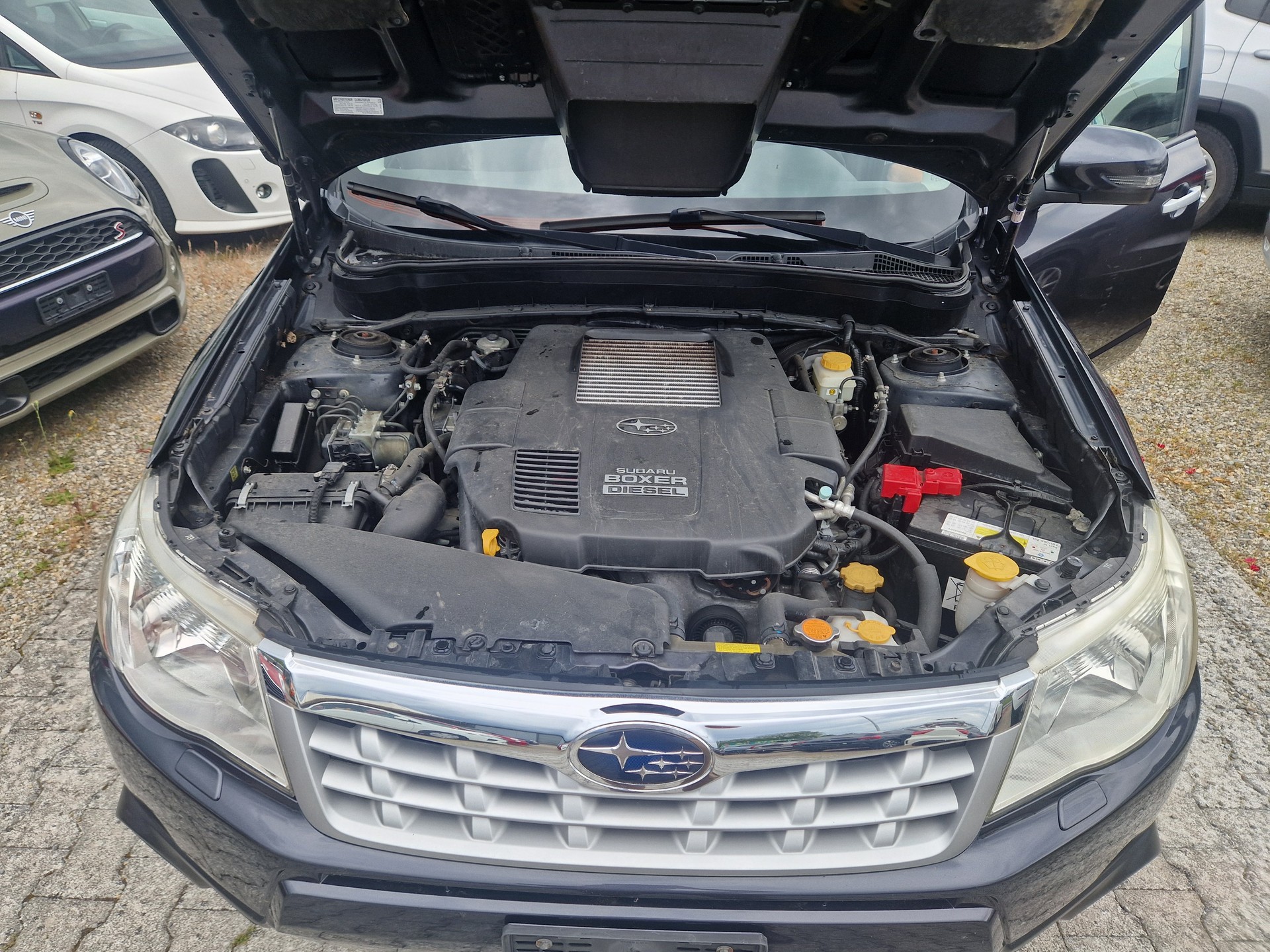 SUBARU FORESTER-image-9