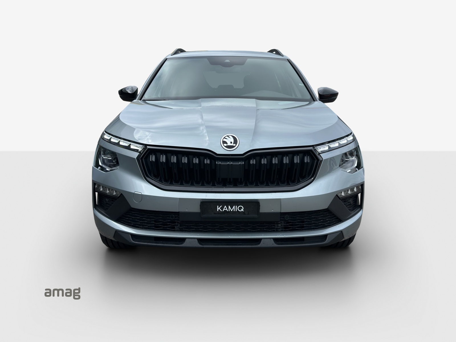 SKODA Kamiq 1.0 TSI Dynamic DSG-image-6