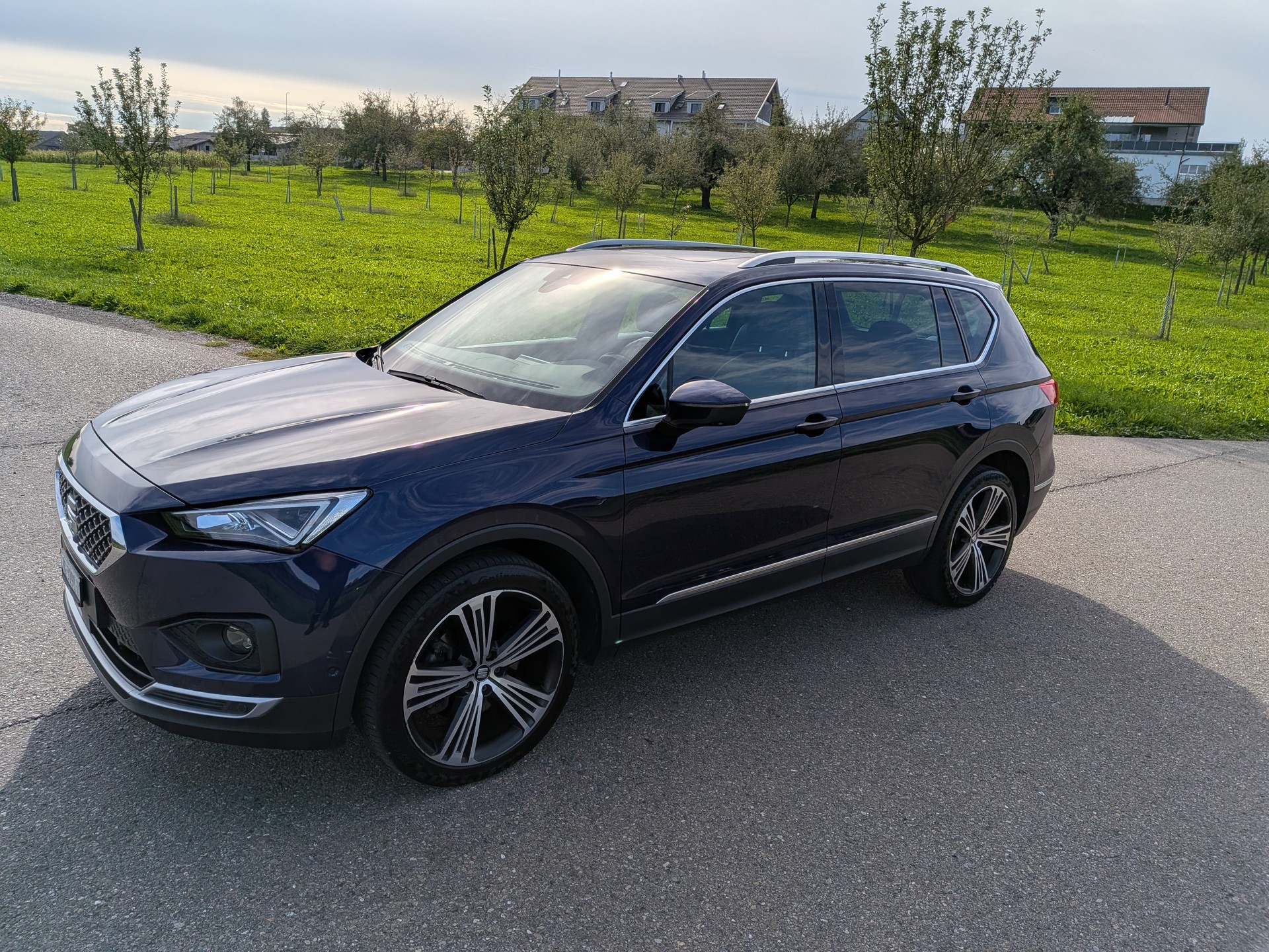 SEAT Tarraco 2.0 TDI CR Xcellence 4Drive DSG-image-6