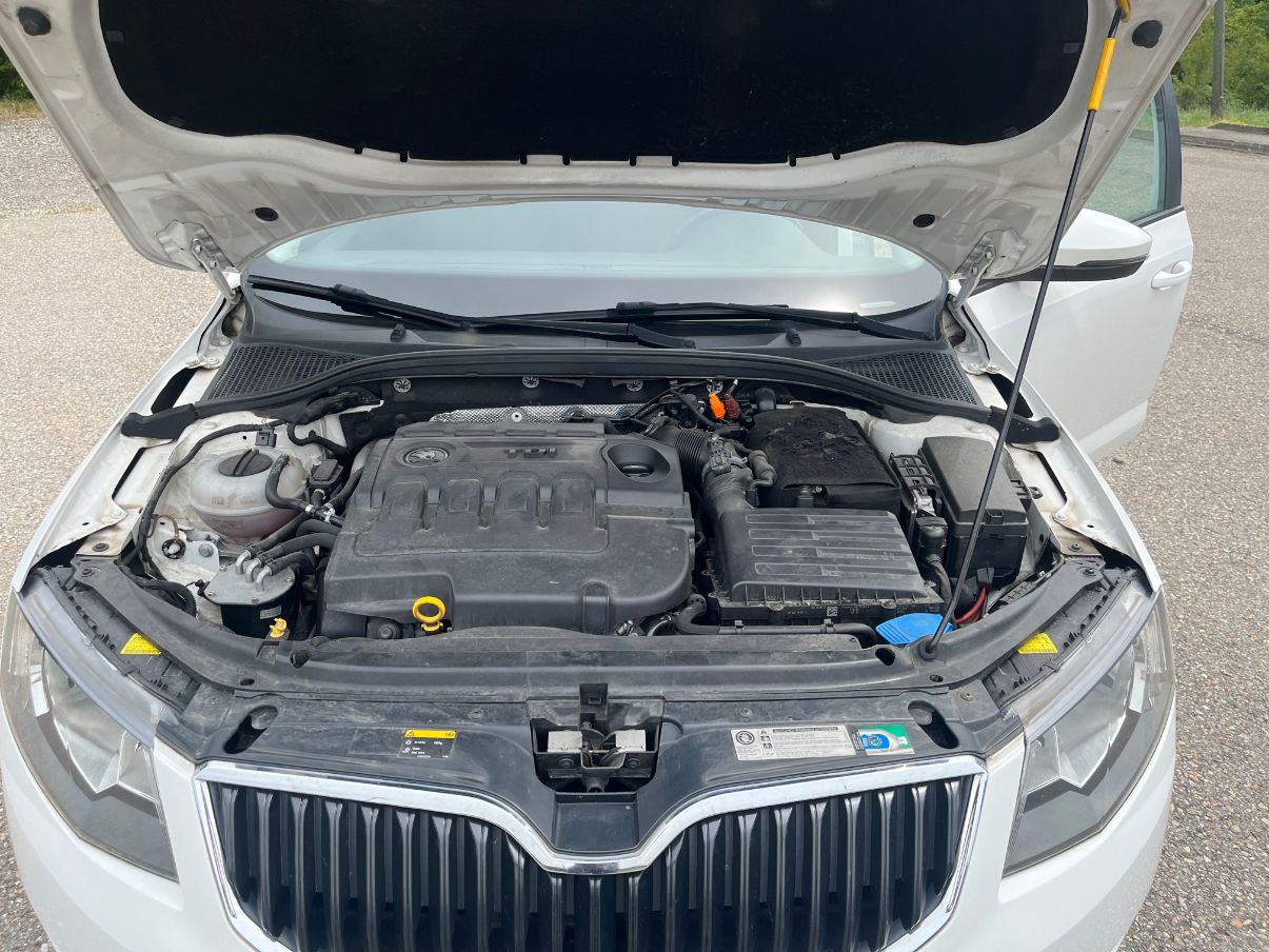 SKODA Octavia Combi 1.6 TDI Ambition 4x4-image-5