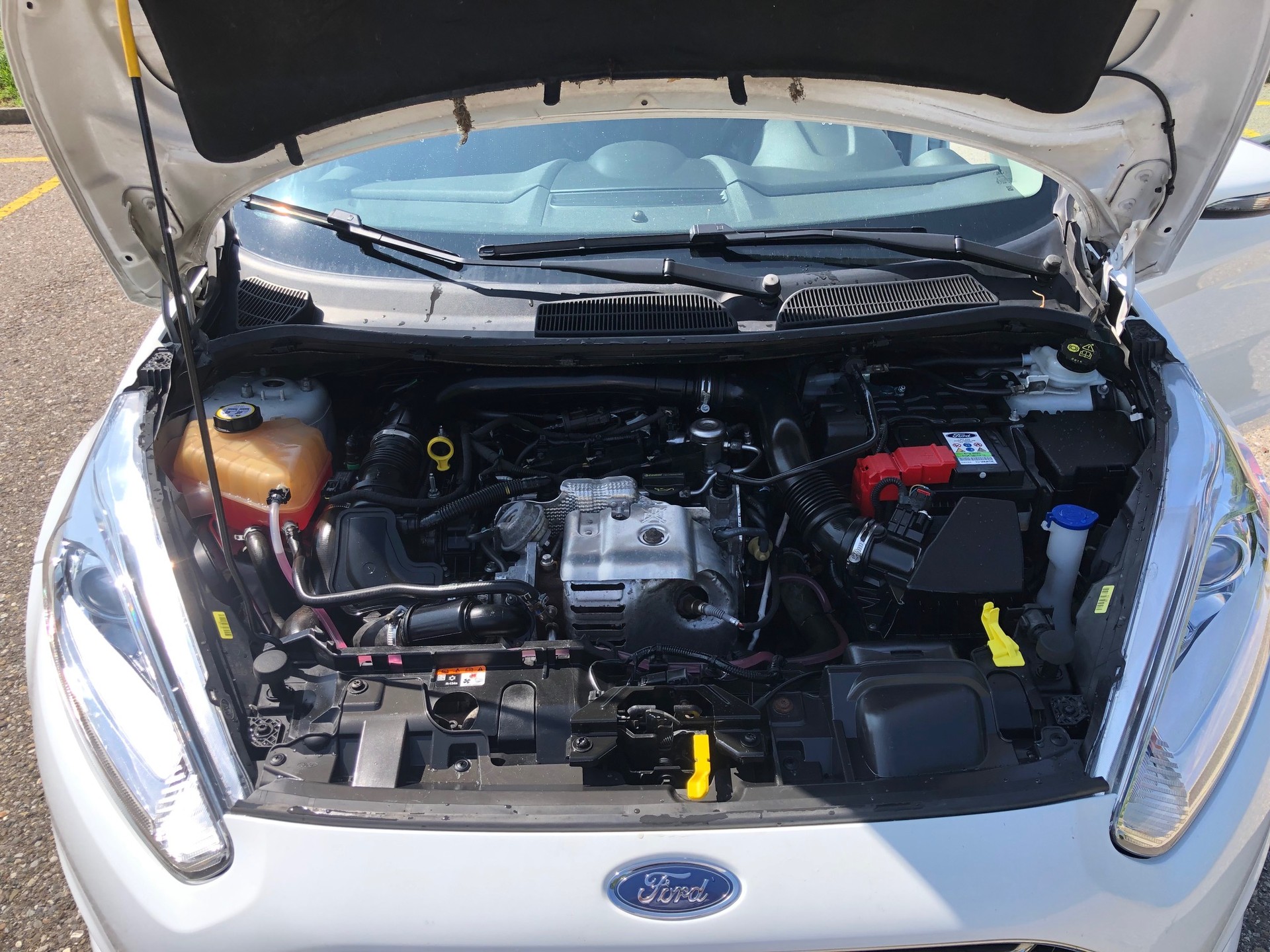 FORD Fiesta 1.0 SCTi ST Line-image-8