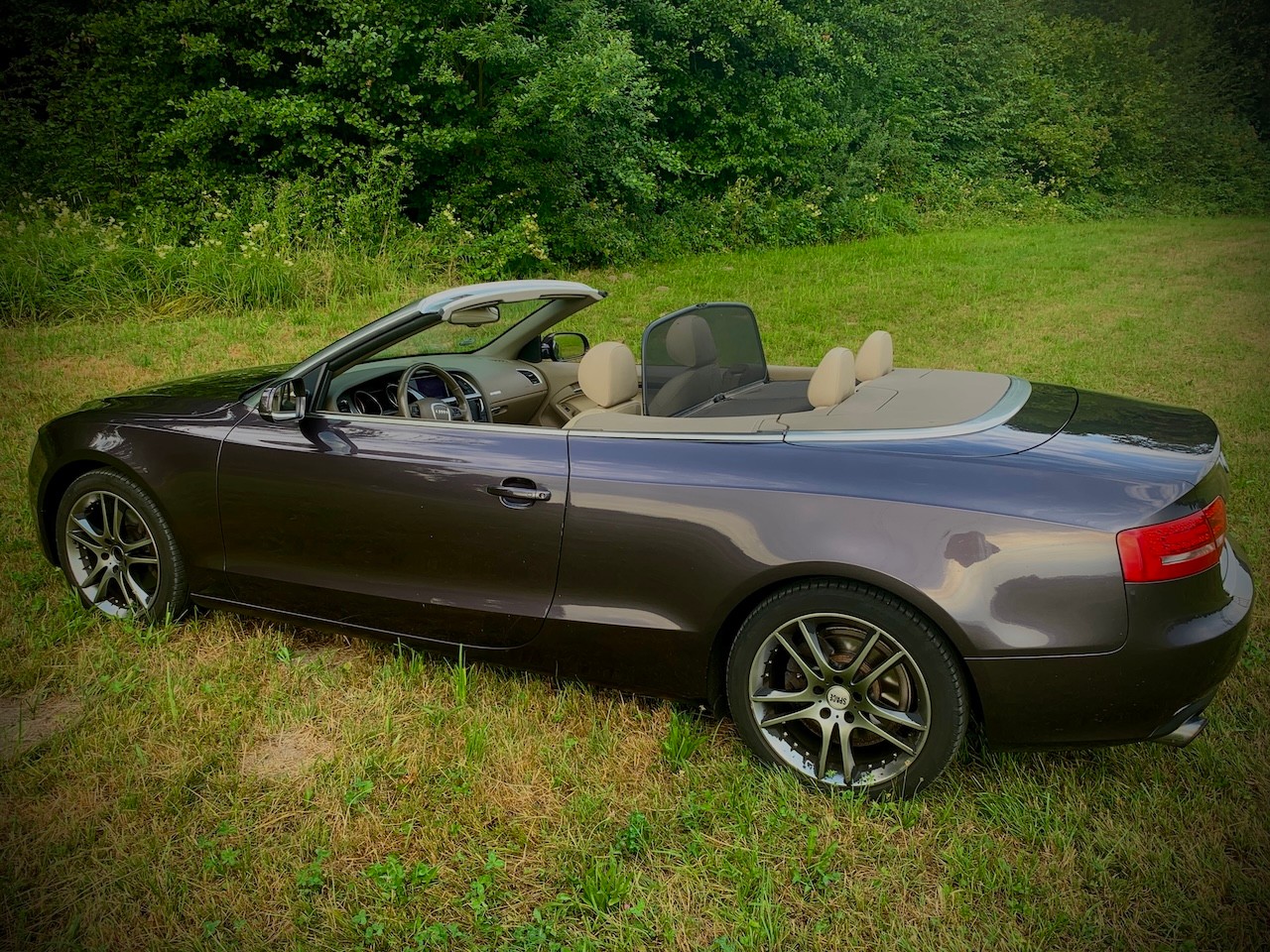 AUDI A5 Cabrio 2.0 TFSI 211 PS (155 kW)-image-8