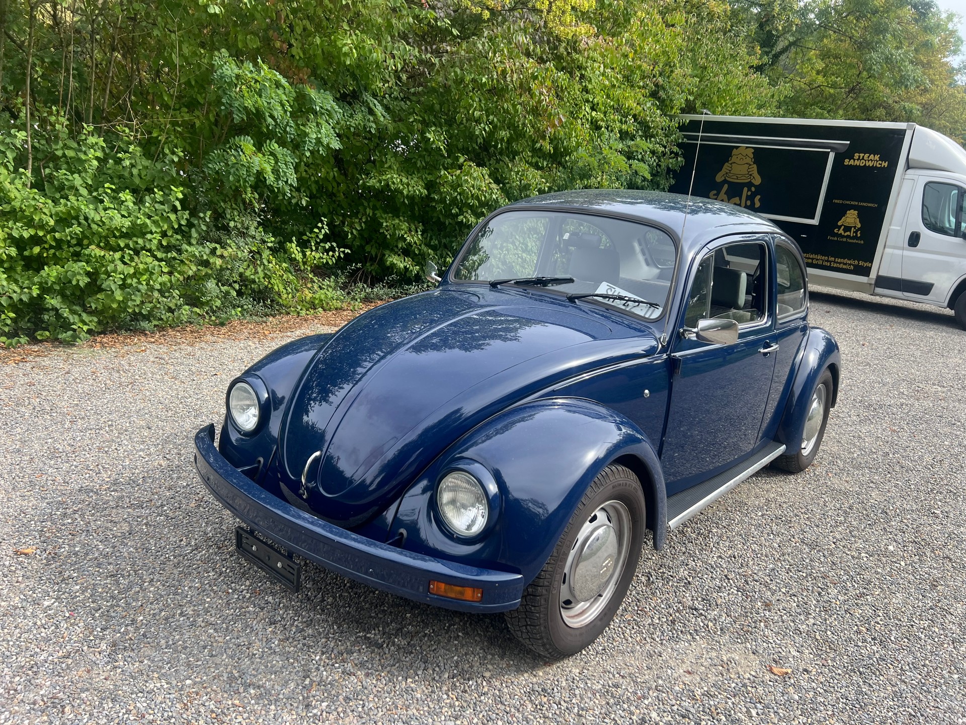 VW Käfer-image-2