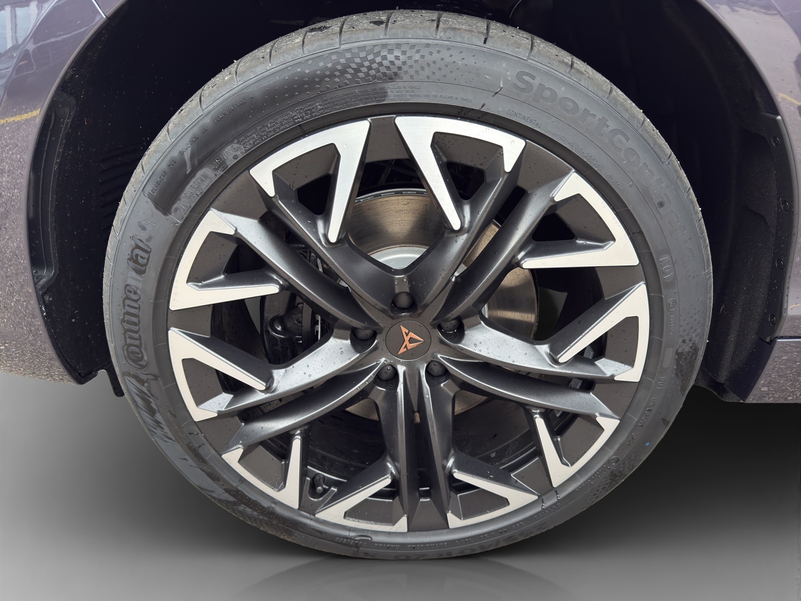 CUPRA Terramar 2.0 TSI DSG 4Drive VZ-image-14