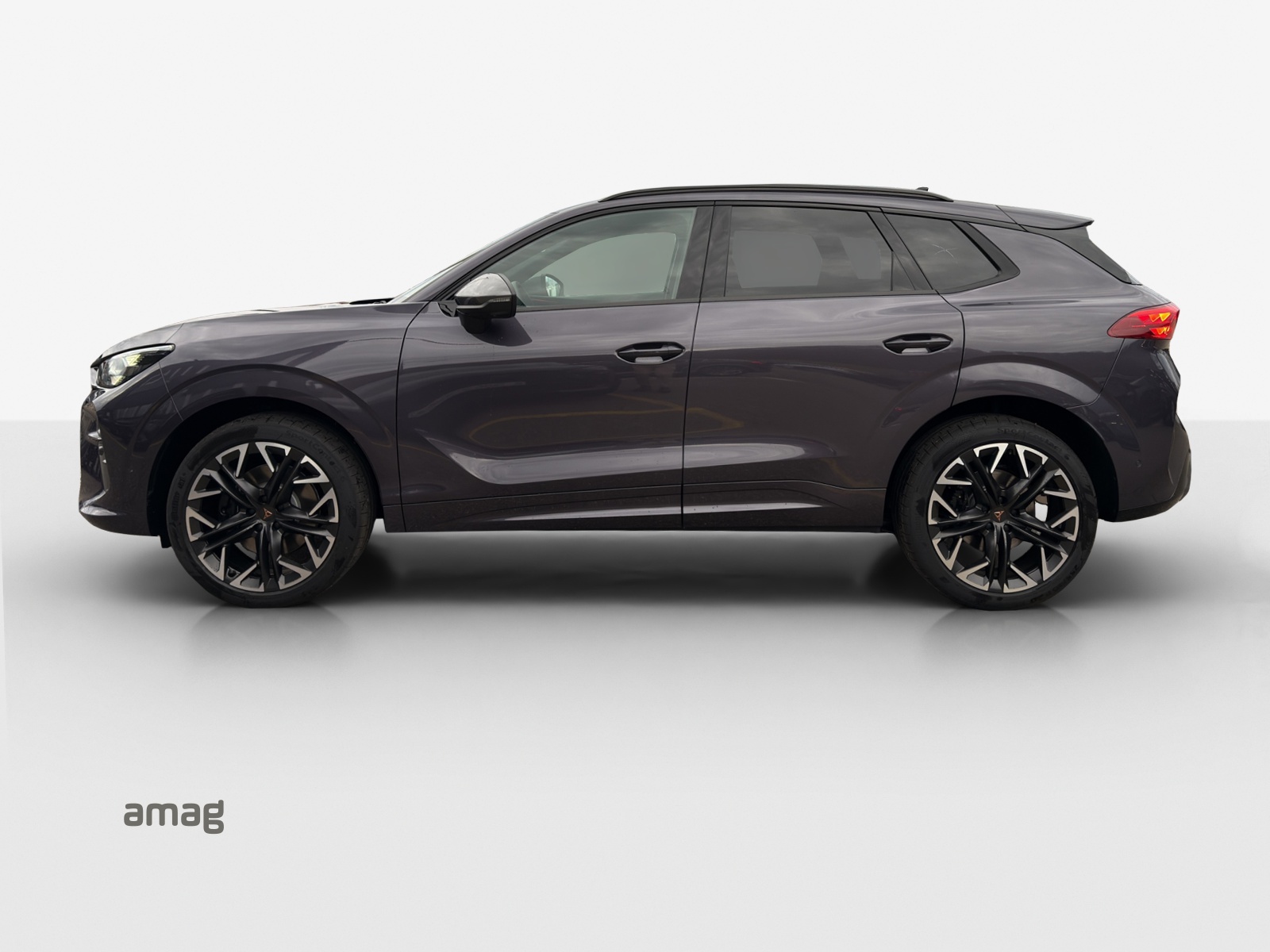 CUPRA Terramar 2.0 TSI DSG 4Drive VZ-image-1