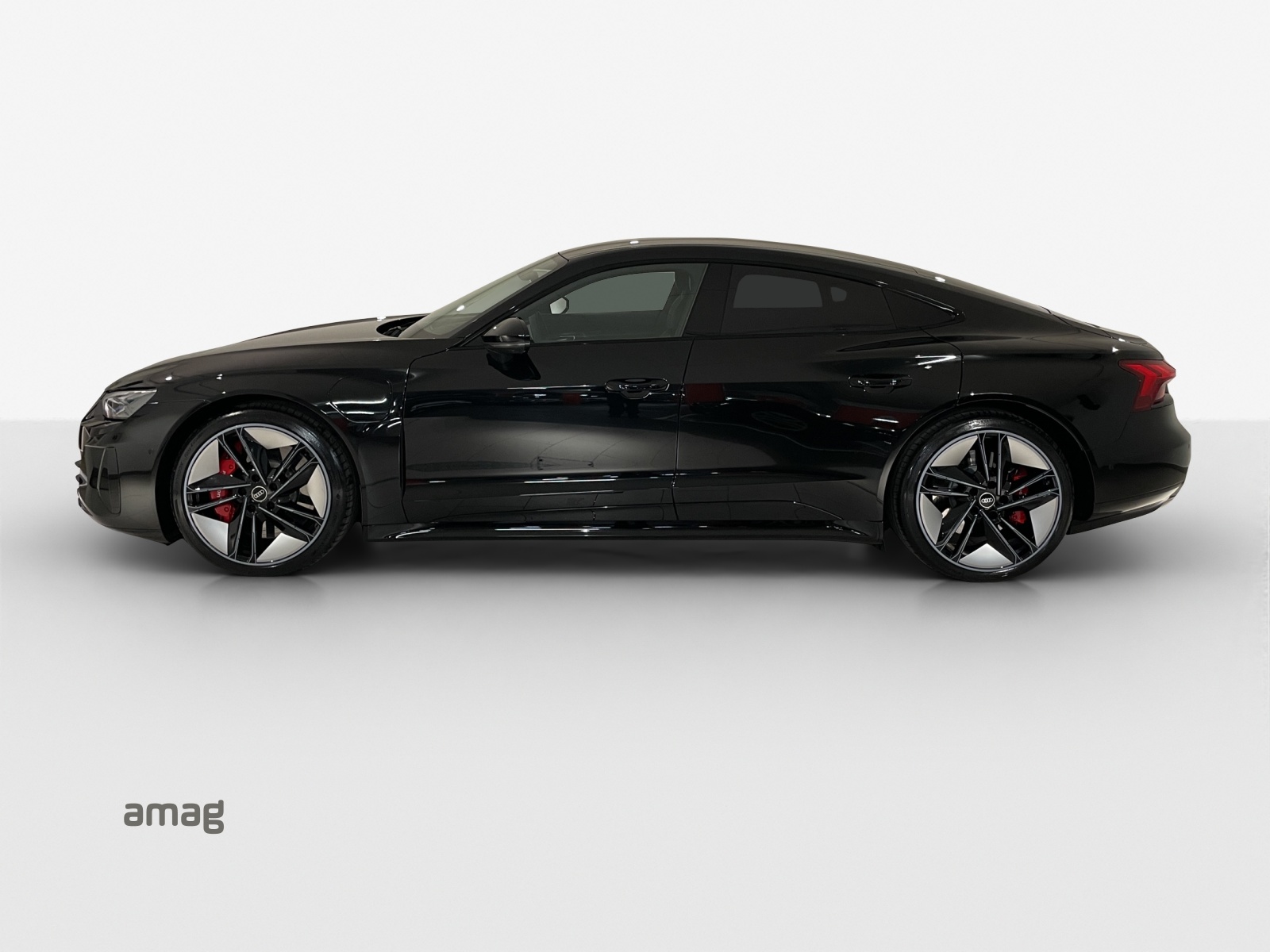 AUDI RS e-tron GT quattro-image-1