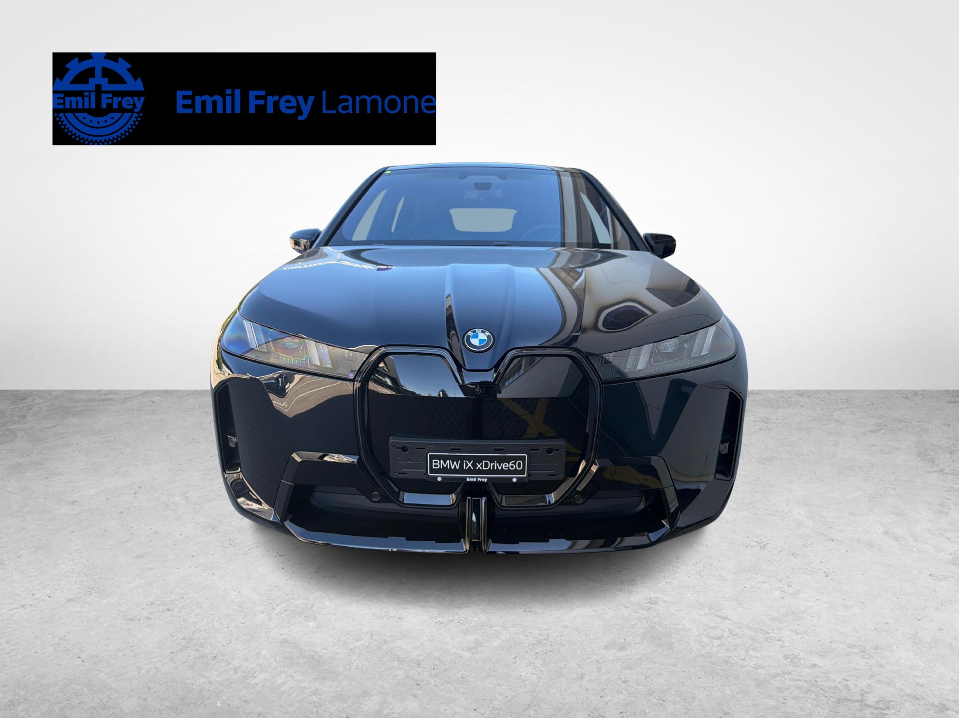 BMW iX xDrive60-image-7