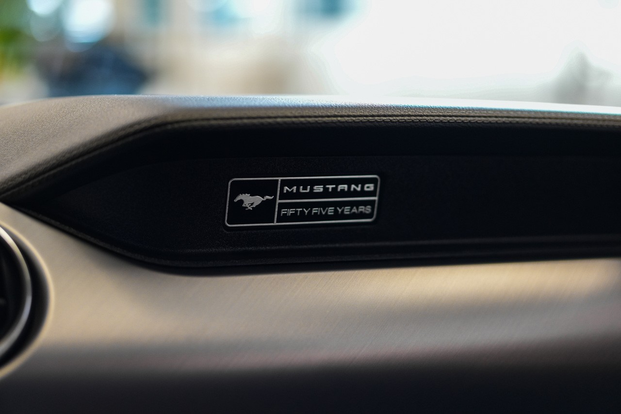FORD Mustang Fastback 5.0 V8 GT Automat-image-21