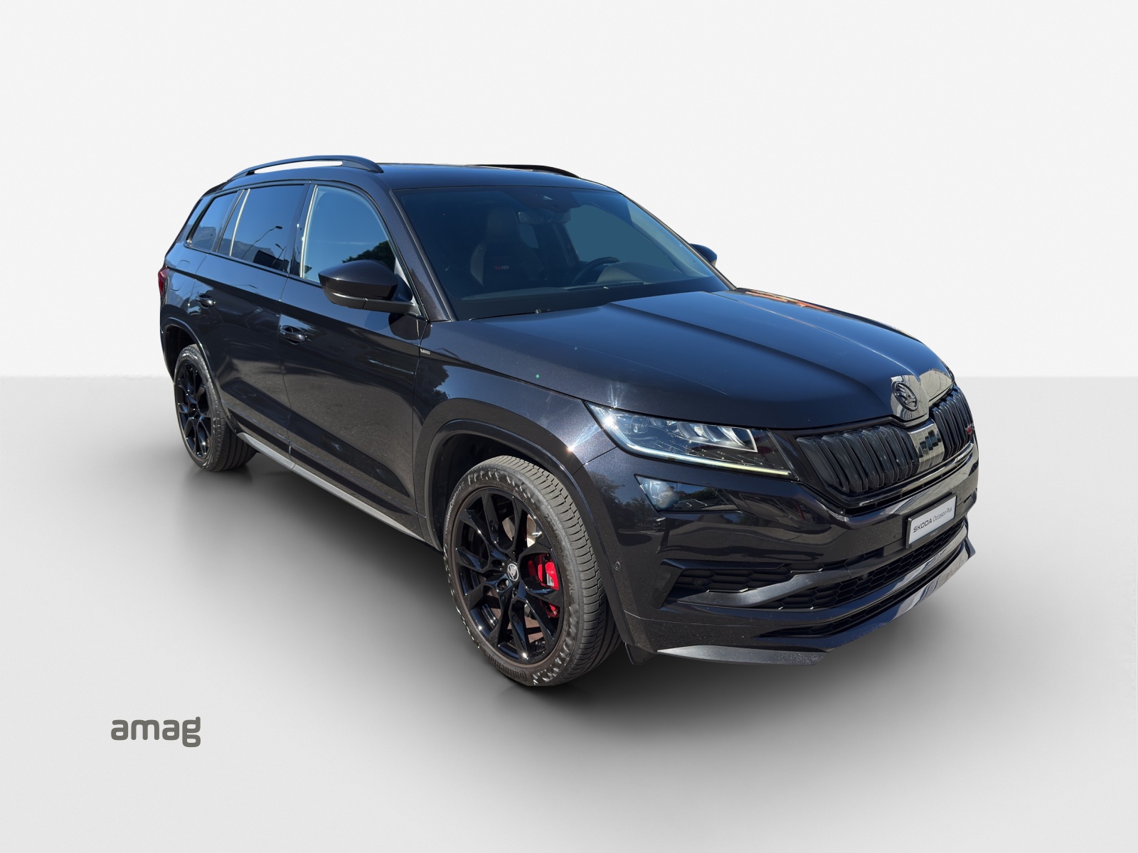 SKODA Kodiaq 2.0 Bi-TDI SCR RS 4x4 DSG-image-5