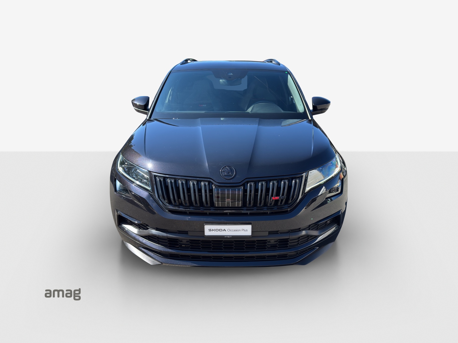 SKODA Kodiaq 2.0 Bi-TDI SCR RS 4x4 DSG-image-6