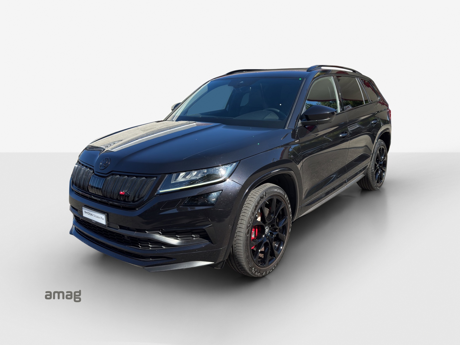 SKODA Kodiaq 2.0 Bi-TDI SCR RS 4x4 DSG-image-0