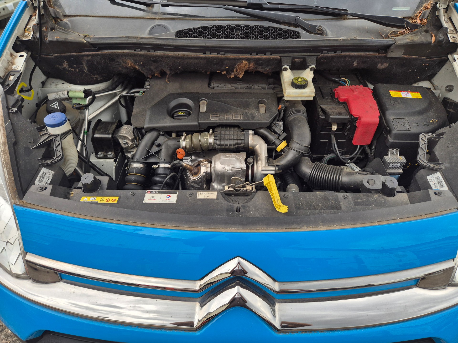 CITROEN Berlingo 1.6 HDi 600 Komfort-image-14