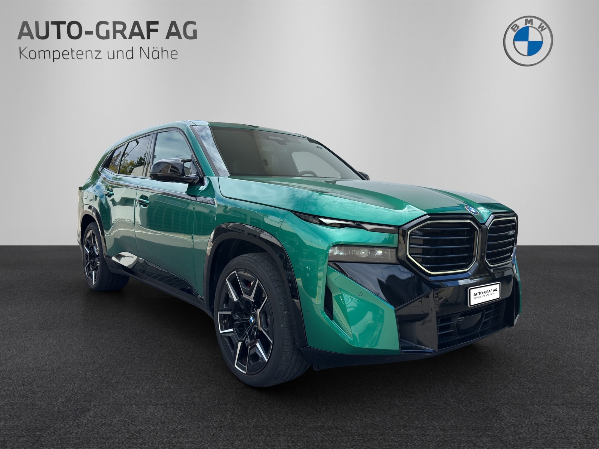 BMW XM 50e Plug-in Hybrid-image-6