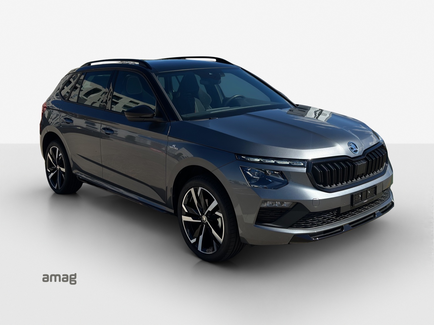 SKODA Kamiq 1.5 TSI Monte Carlo DSG-image-5
