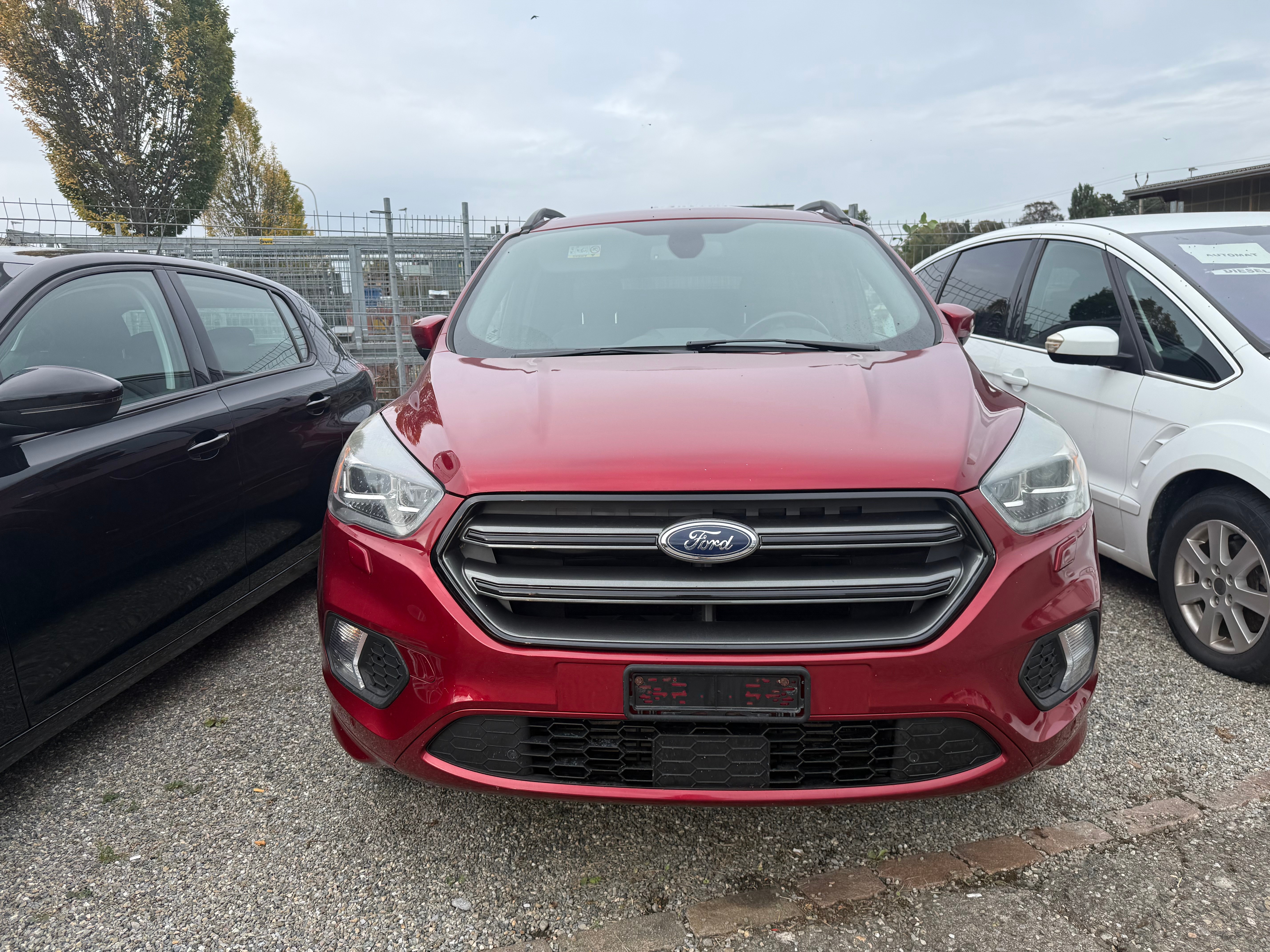 Car photo