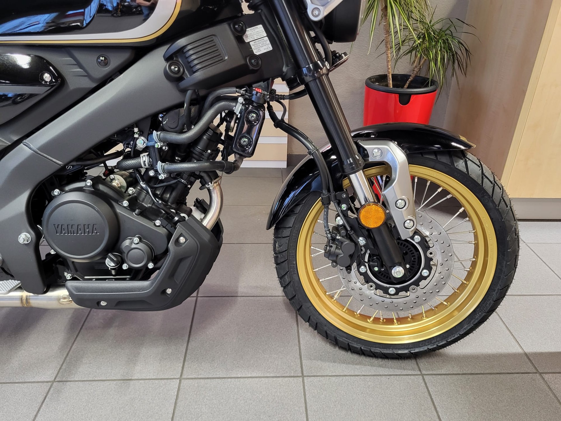 YAMAHA XSR 125 Legacy mit Akra-image-6
