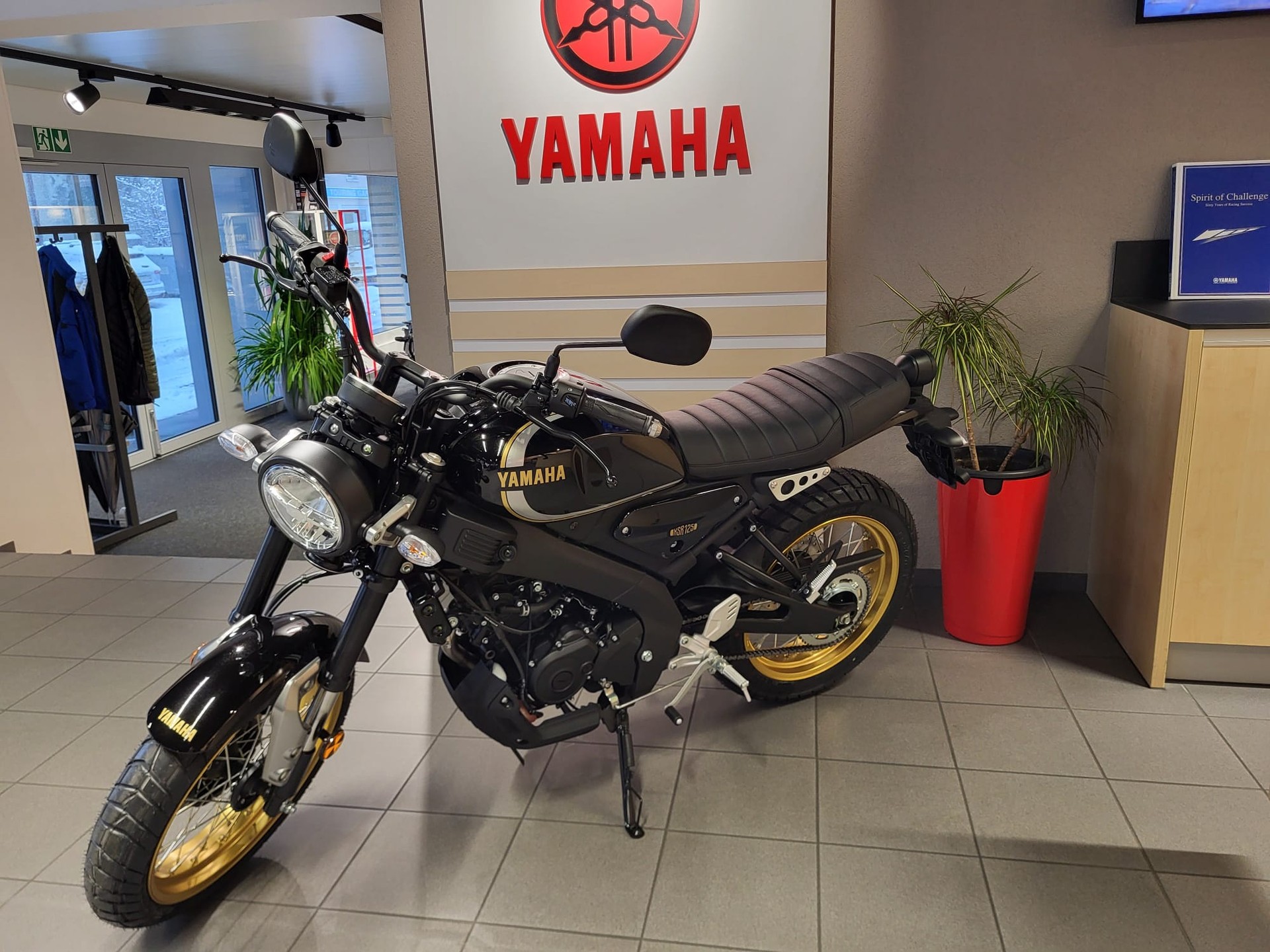 YAMAHA XSR 125 Legacy mit Akra-image-4