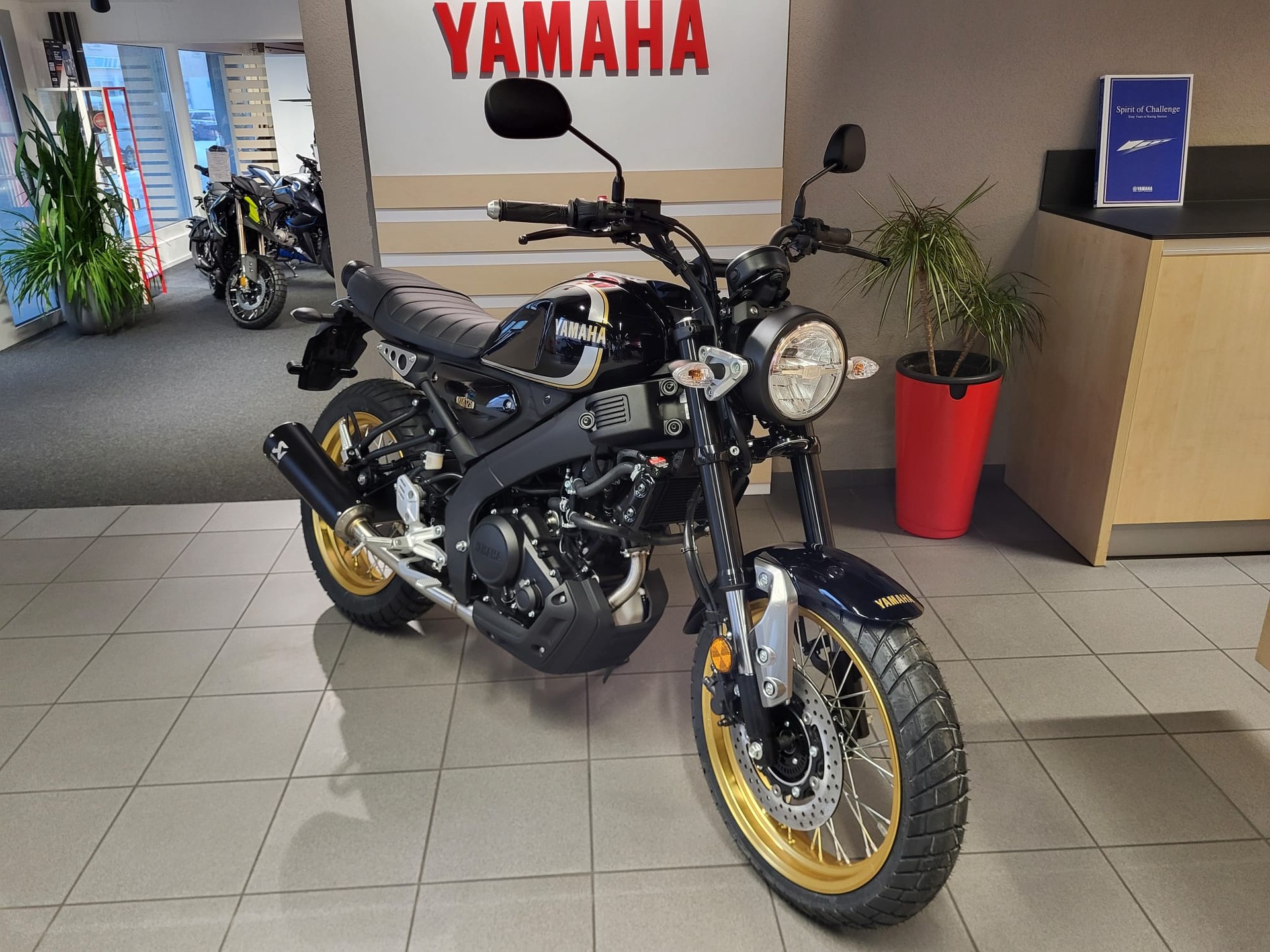 YAMAHA XSR 125 Legacy mit Akra-showroom-element-2